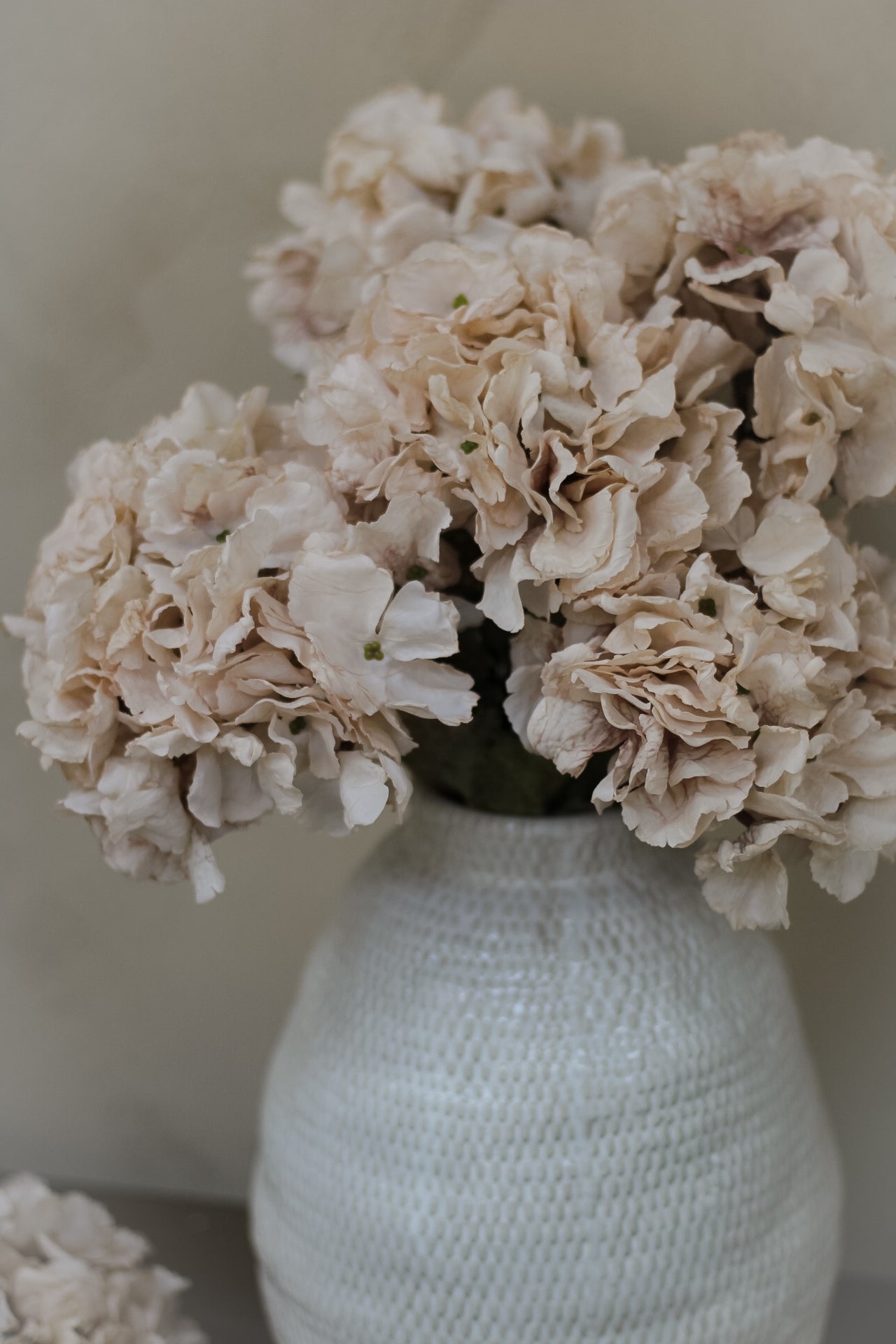 Faux Nude Dried Ruffle Hydrangea
