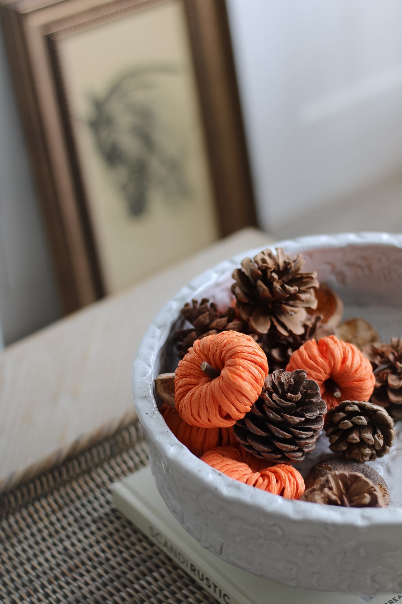 Bag of Woven Pumpkins and Pinecones