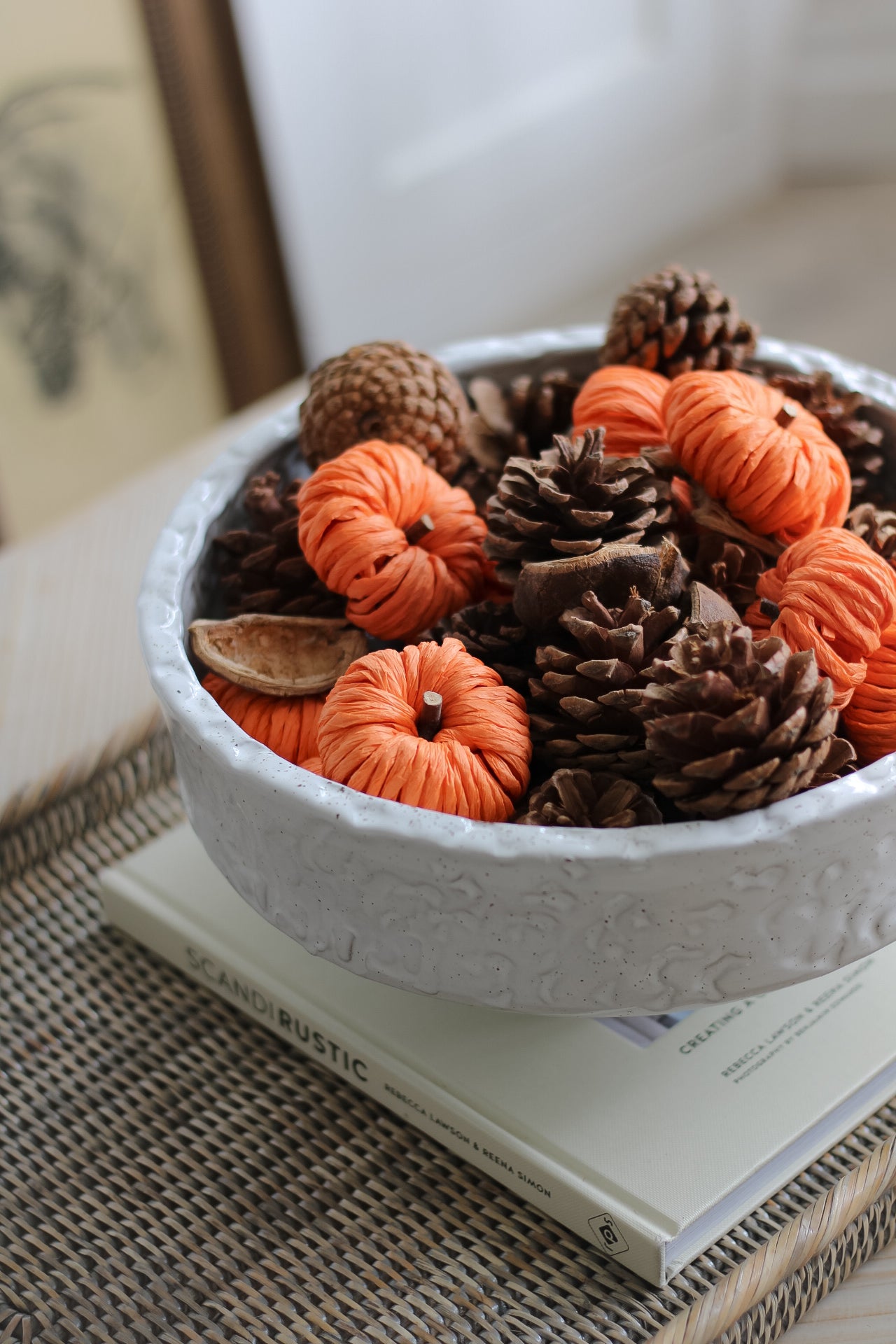 Bag of Woven Pumpkins and Pinecones