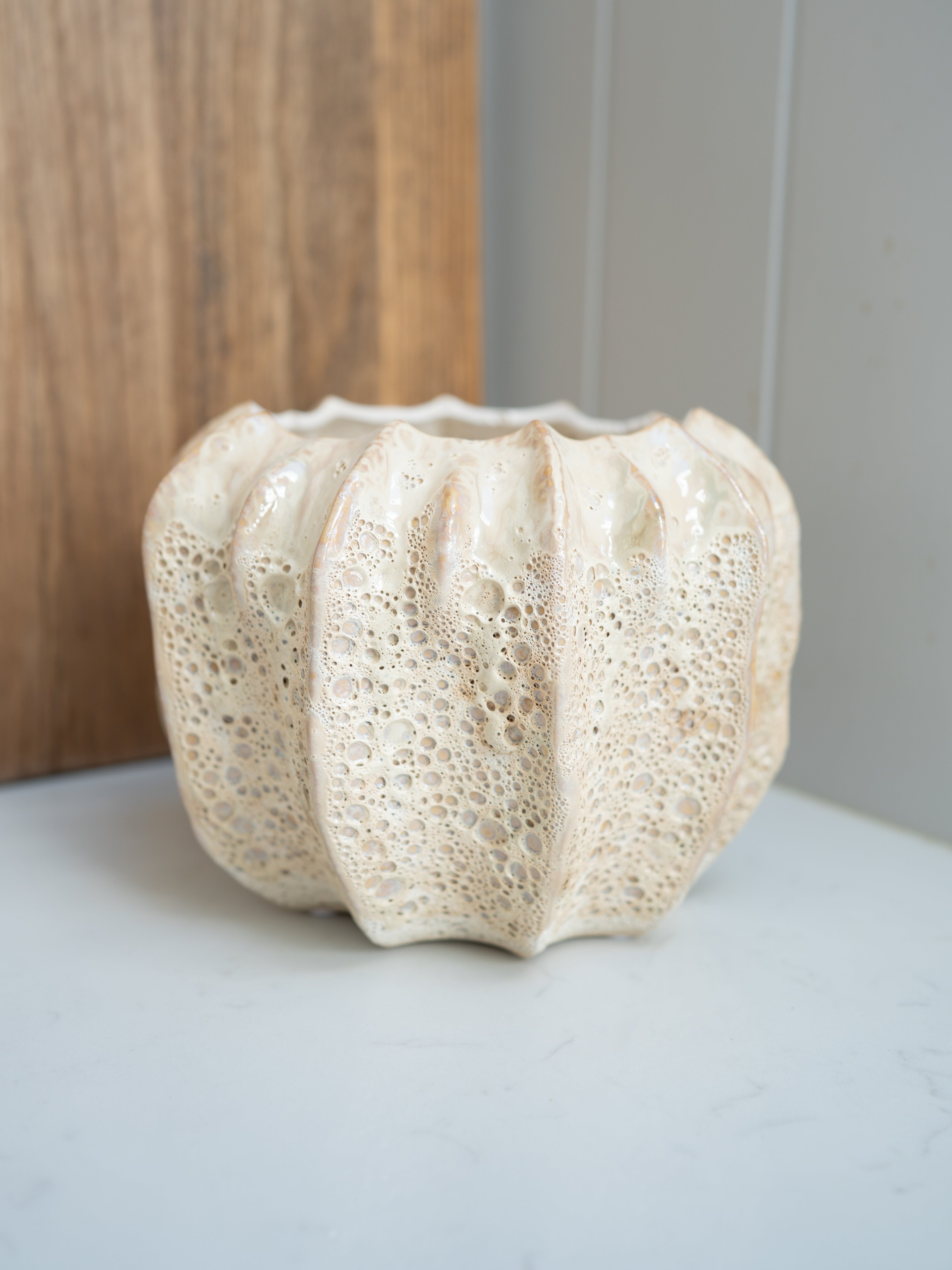Textured ceramic plant pot on a neutral background