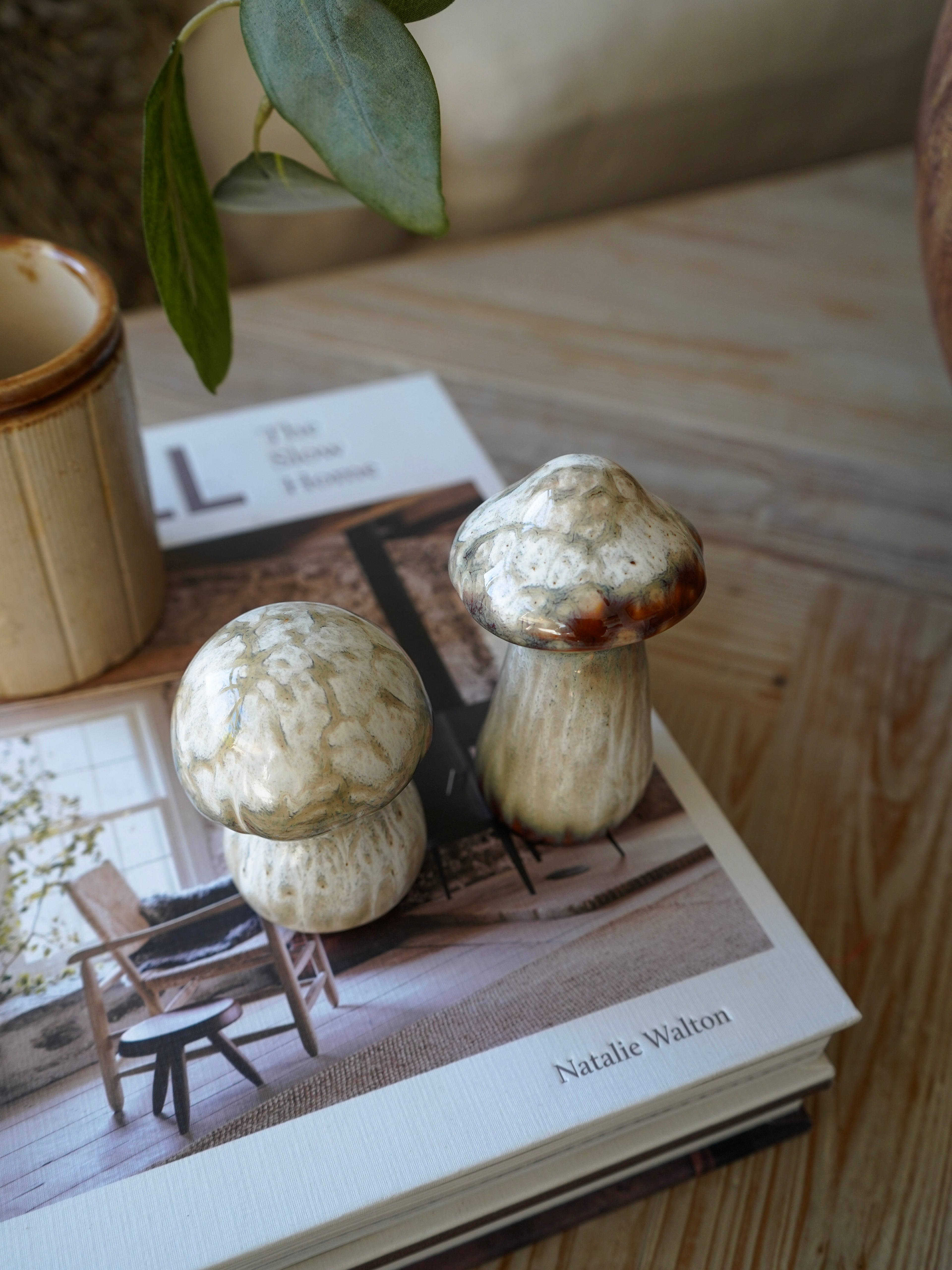 Decorative mushrooms on a book with a blurred background