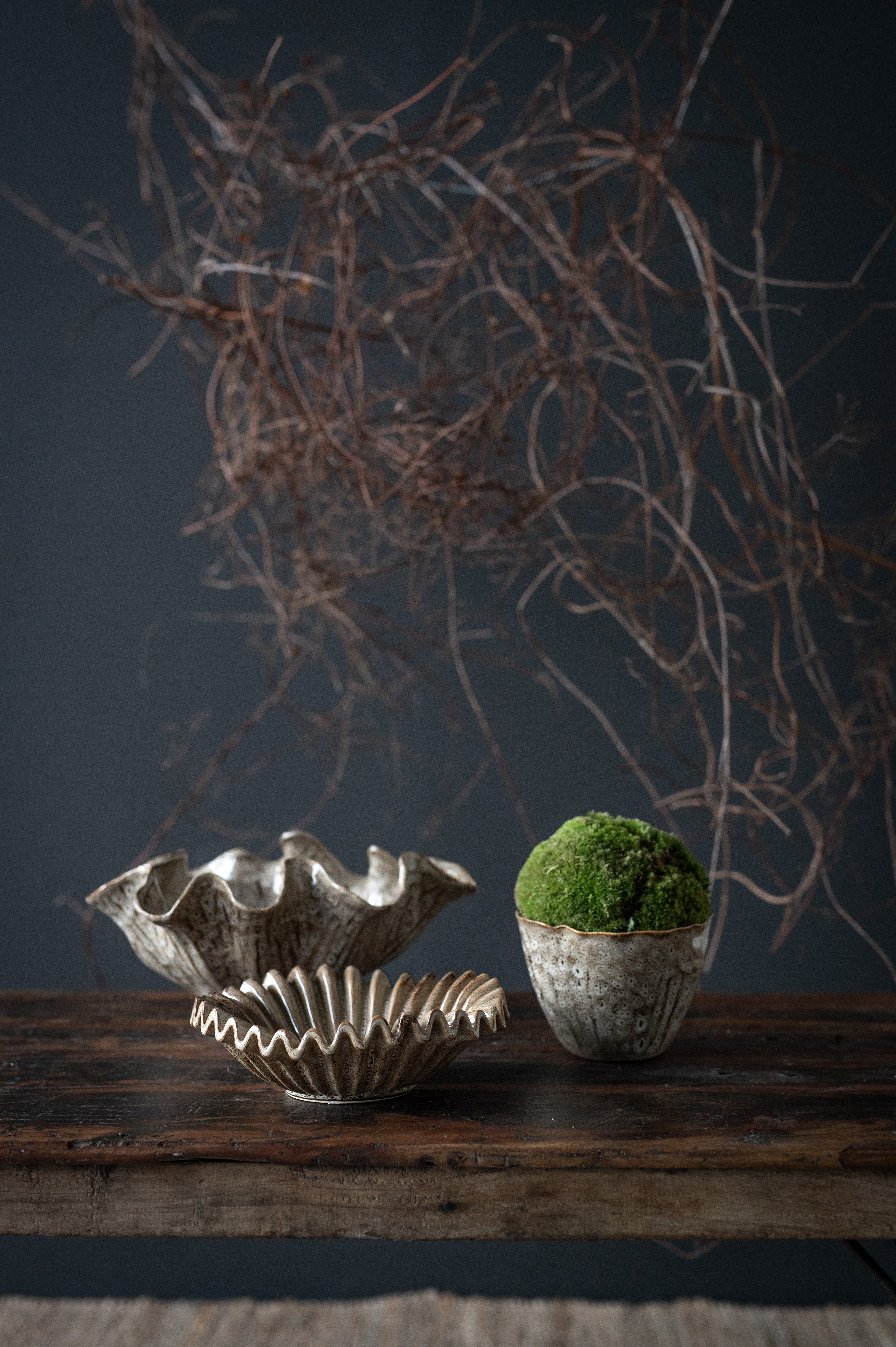 Decorative shell-like bowls with a small potted plant on a wooden surface against a dark background.