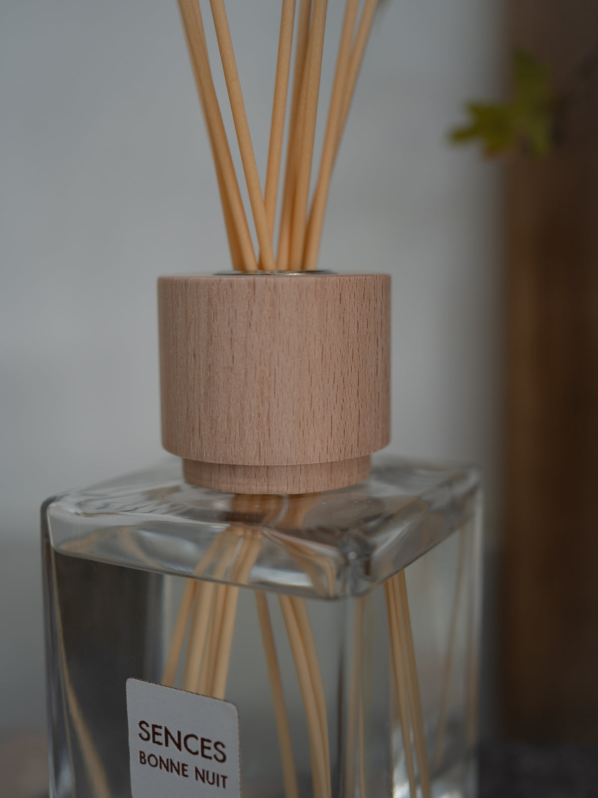A reed diffuser with a square clear glass bottle, light wood cap, and natural bamboo reeds. A white label on the bottle reads &