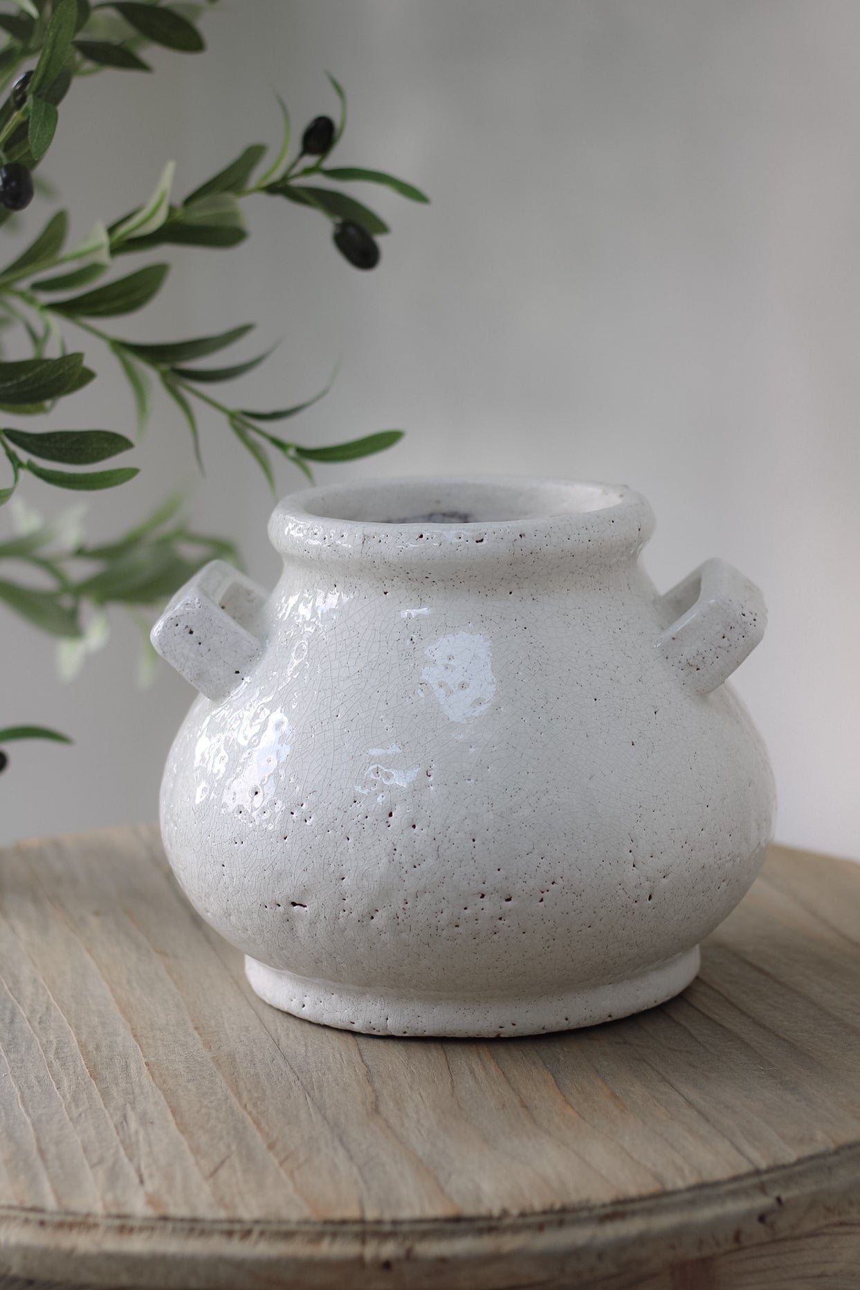 Bowness Rustic Crackle Glazed White Pot with Handles