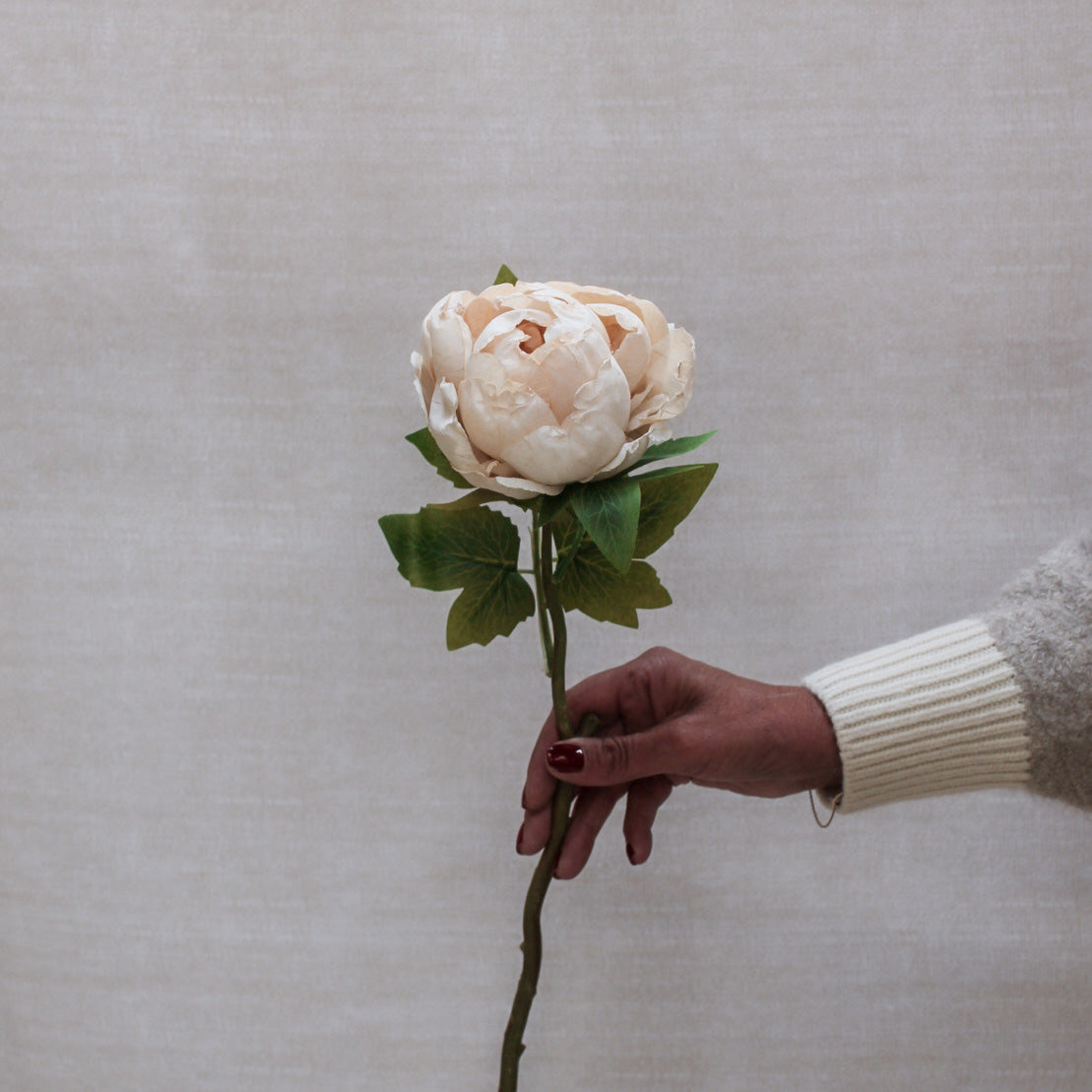 Nude Dried Touch Closed Peony Stem