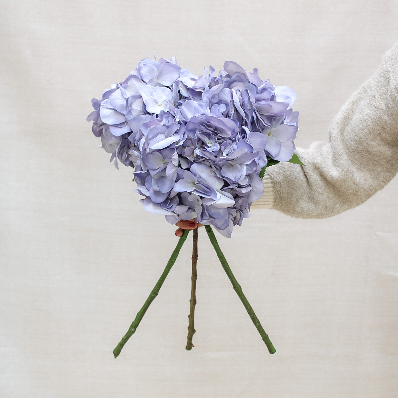 Lilac Hydrangea