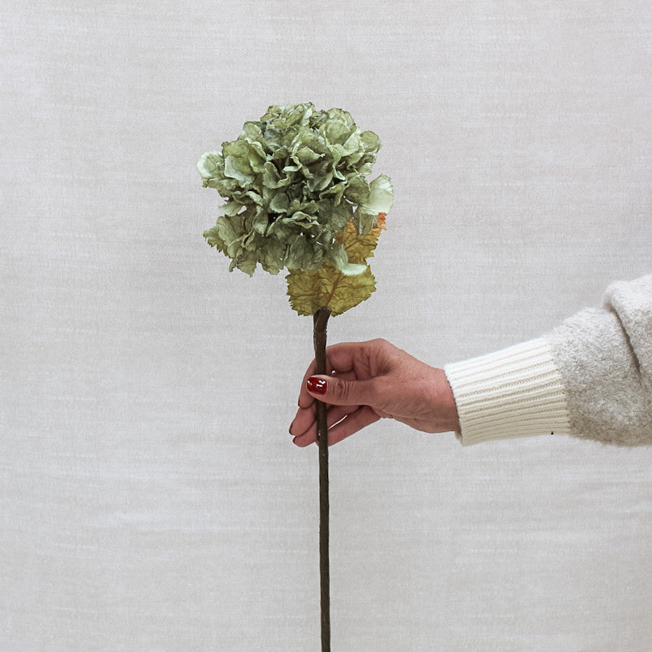 Sage Dried Touch Ruffle Hydrangea | Bundle of 3