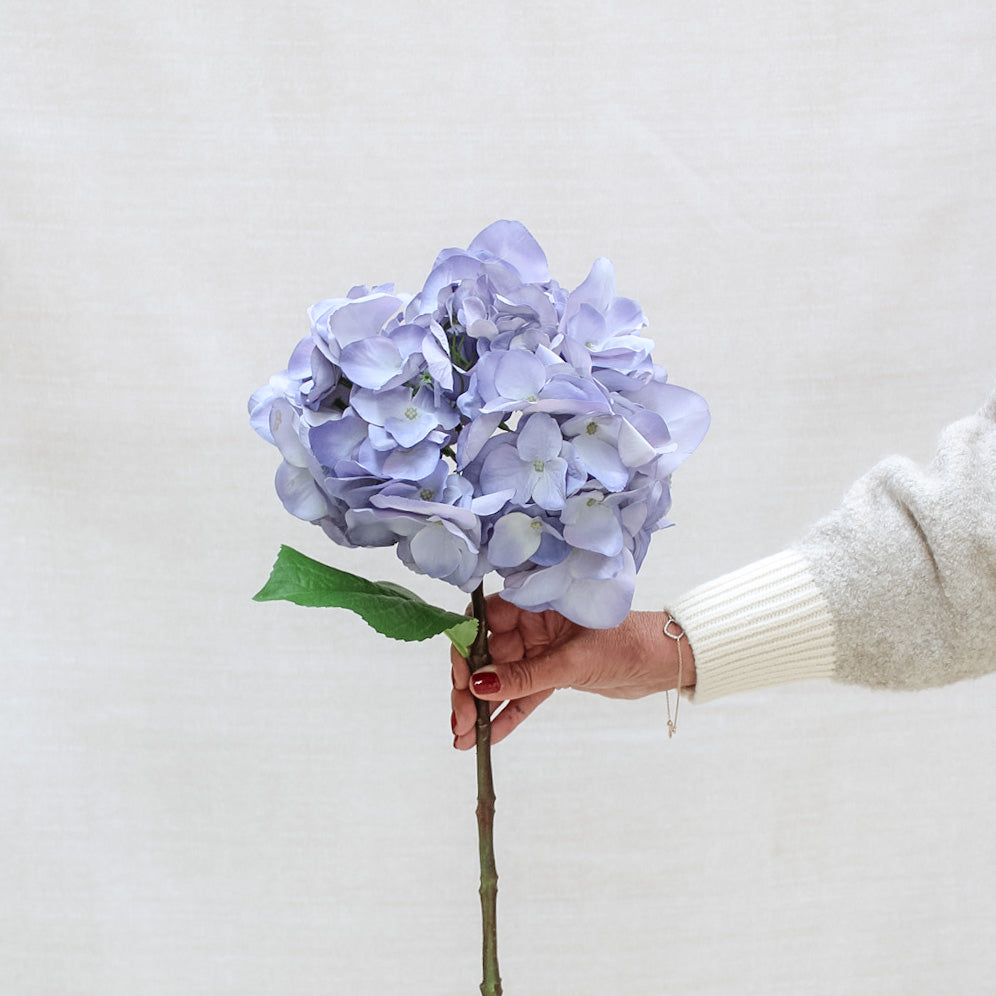 Lilac Hydrangea