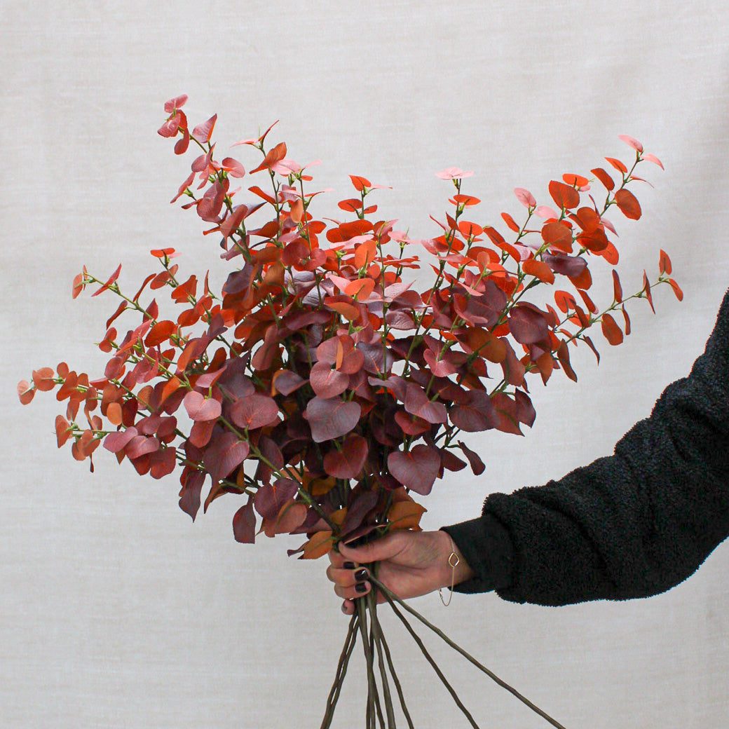 Autumn Sunset Eucalyptus Stem