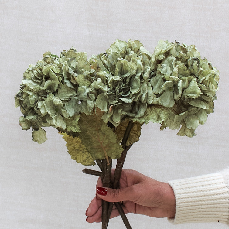 Sage Dried Touch Ruffle Hydrangea | Bundle of 3