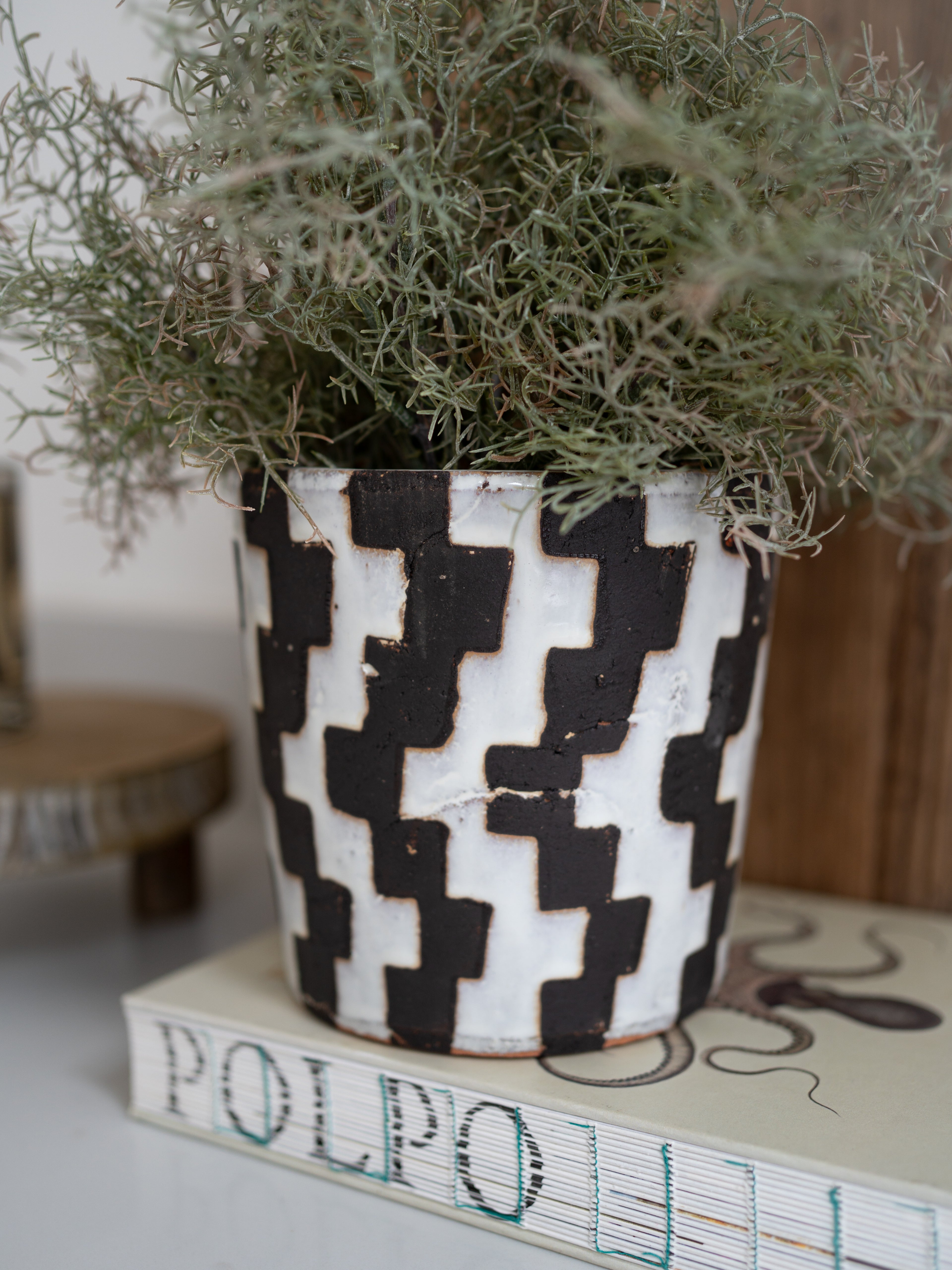 Decorative pot with geometric pattern containing a plant on a surface with a book underneath.