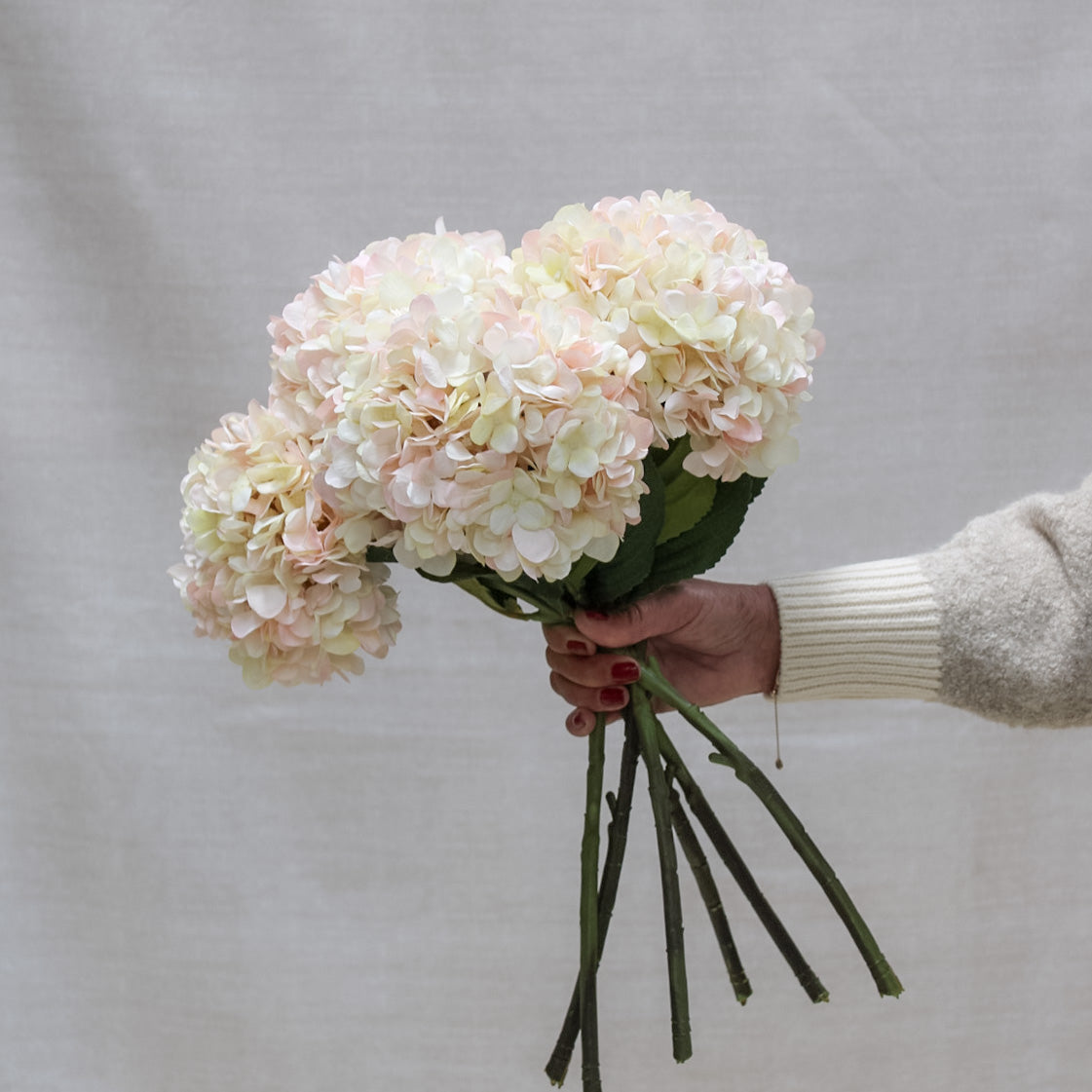 Blush Pink and Warm White Hydrangea Stem