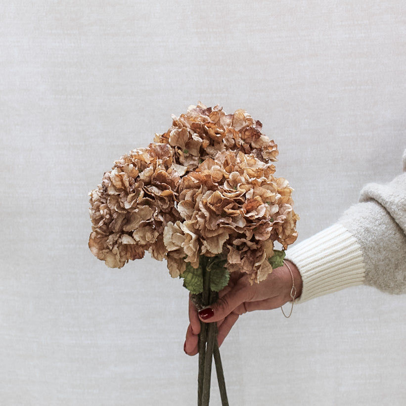 Cappuccino Dried Touch Ruffle Hydrangea | Bundle of 3