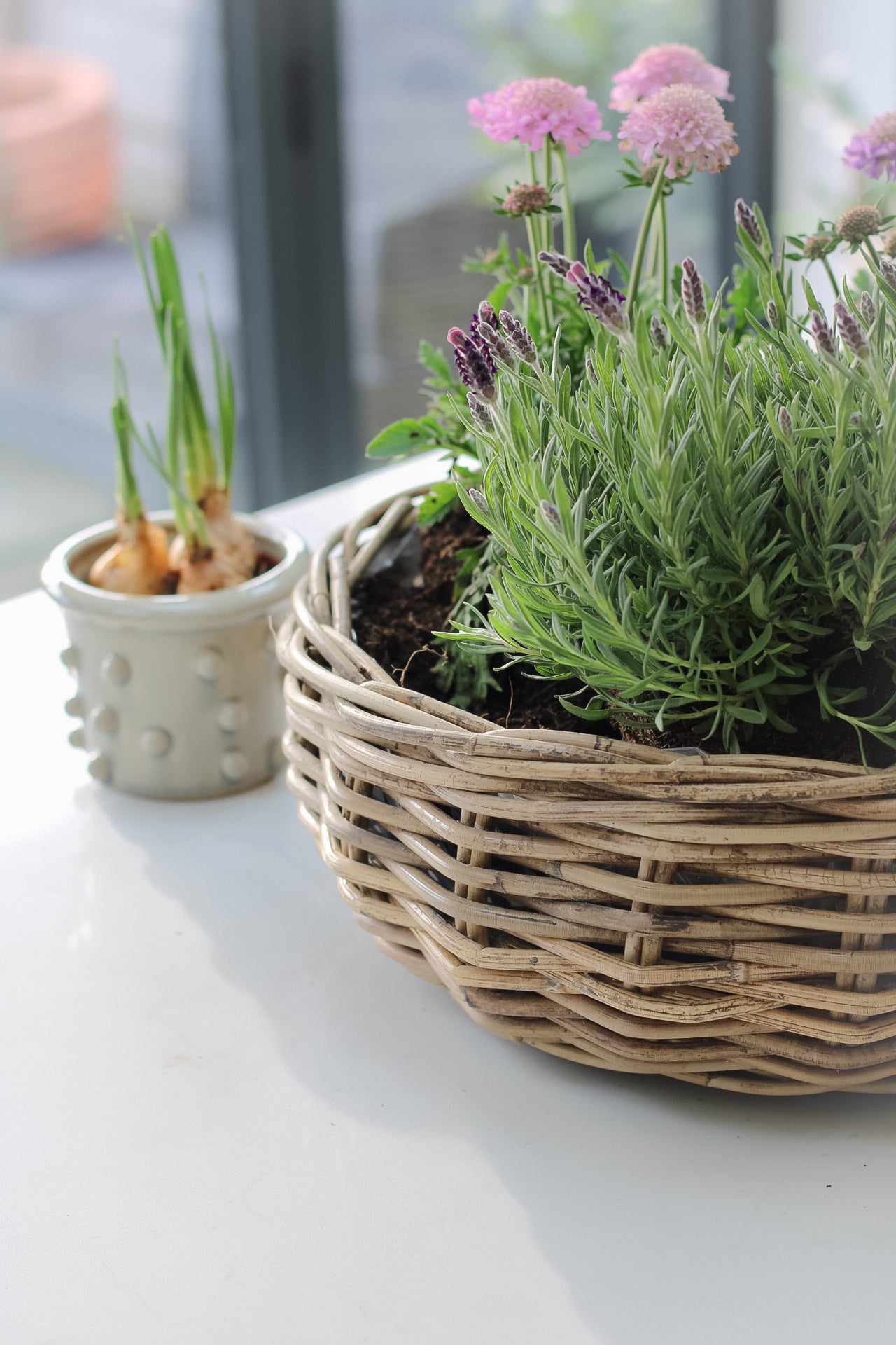Kubu Rattan Basket Planter