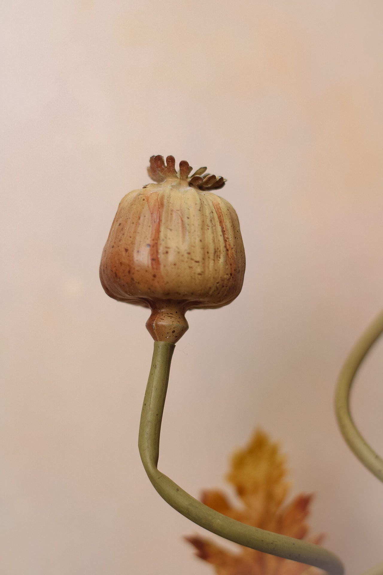 Faux Brown and Blush Poppy Head Stem
