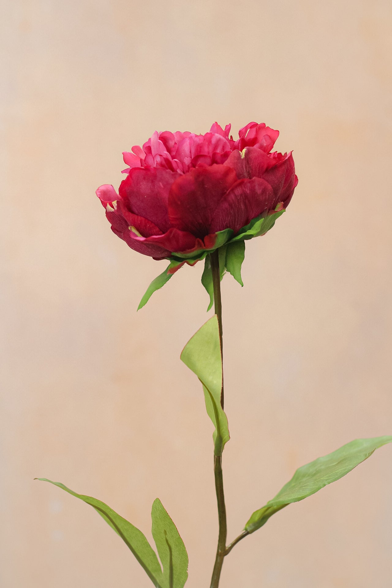 Faux Fresh Touch Cerise Peony Stem