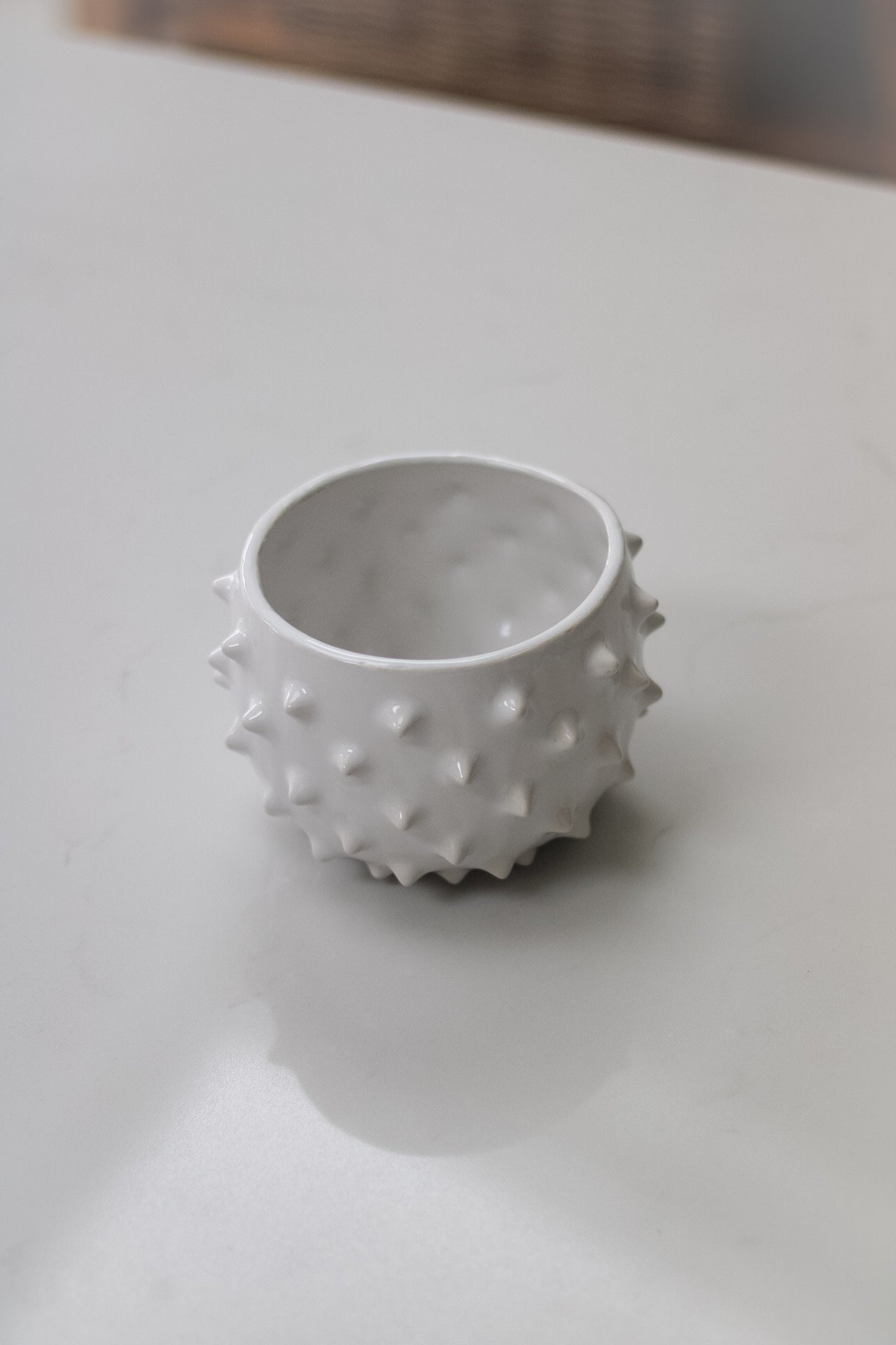 White Spiked Ceramic Planter