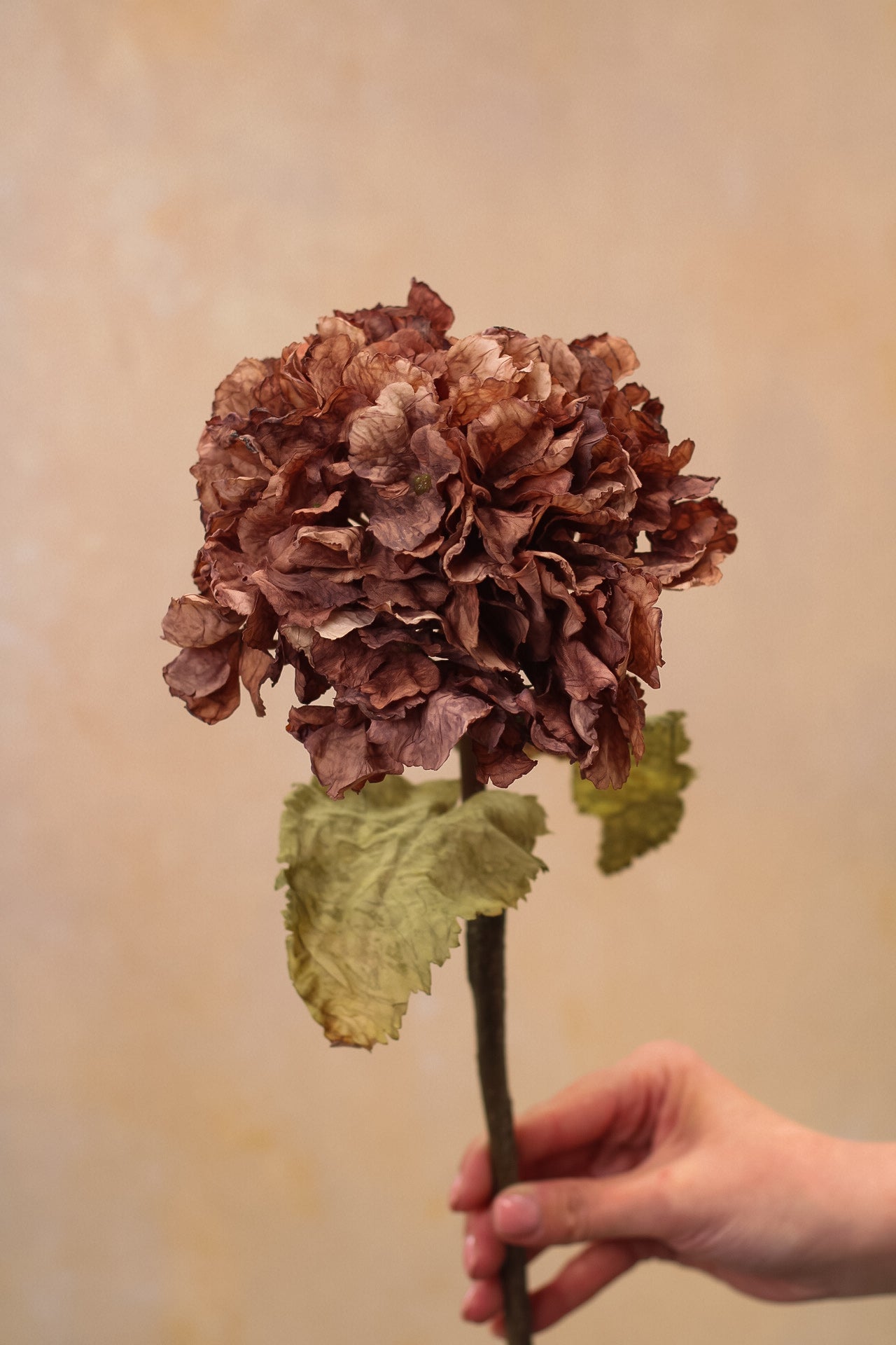 Faux Mocha Dried Touch Ruffle Hydrangea