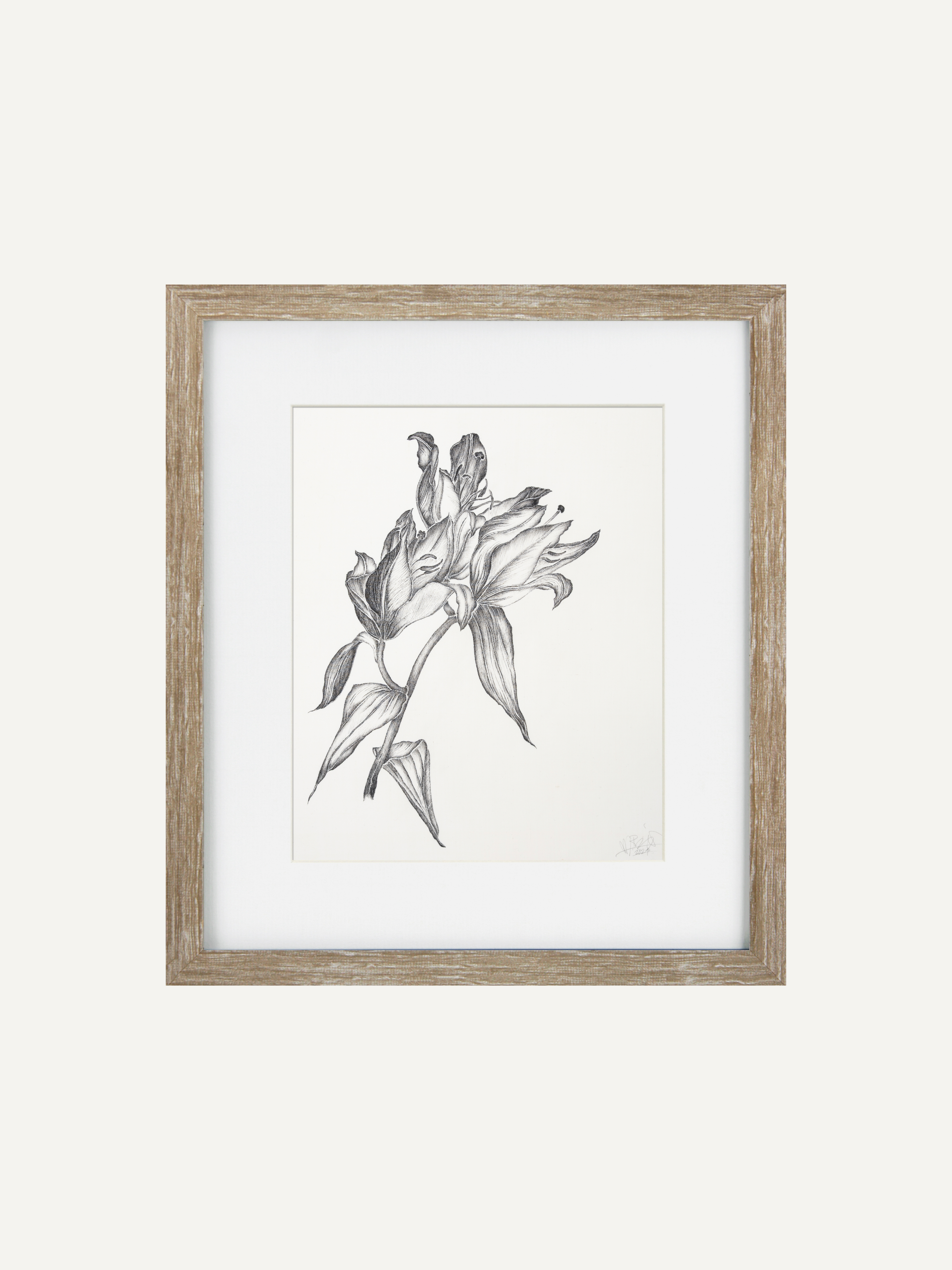 A framed botanical art print featuring a detailed pencil sketch of lilies, presented in a light natural wood frame with a white mat against a clean off-white background.
