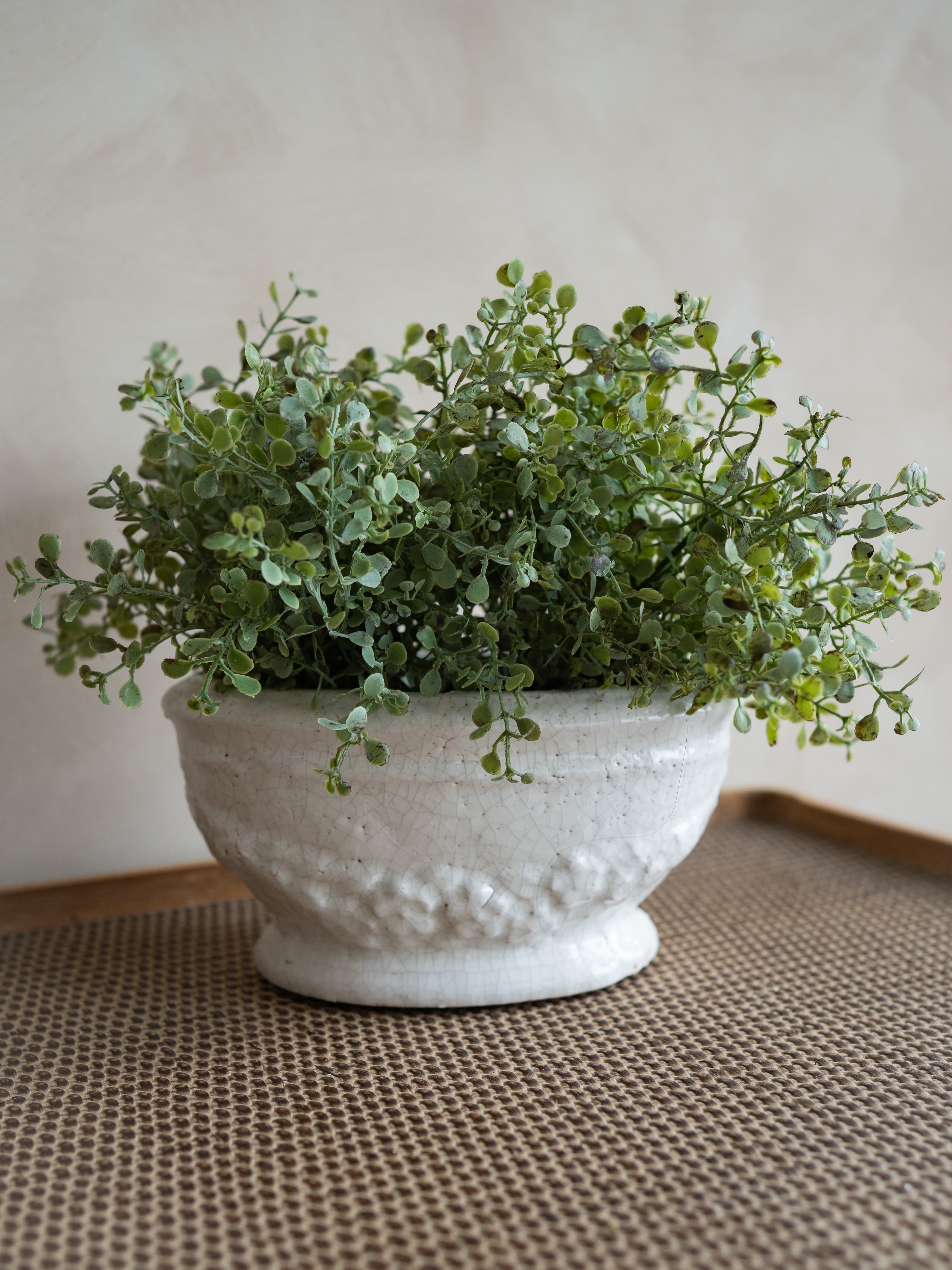 A potted green leafy plant in a textured off-white ceramic bowl, placed on a woven brown mat against a neutral beige wall.