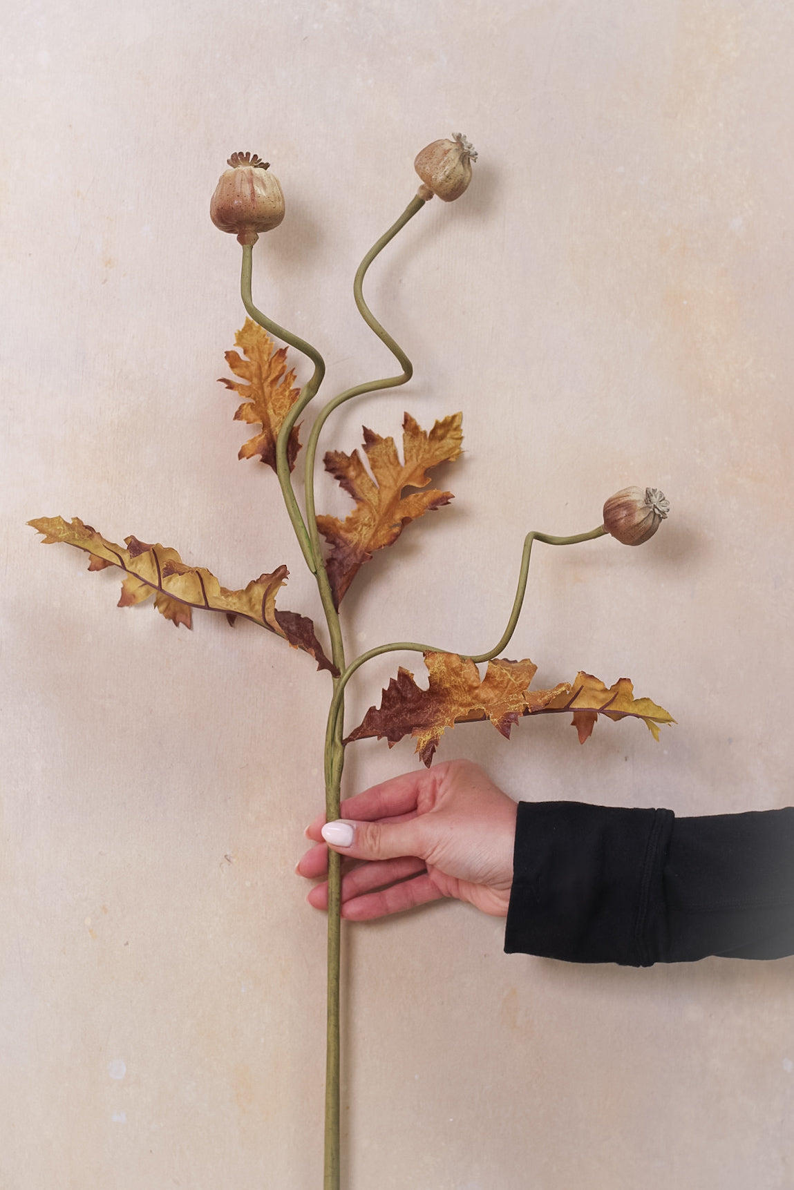 Faux Brown and Blush Poppy Head Stem