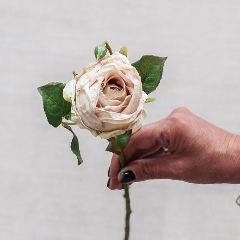 Faux Nude Dried Touch Open Rose Spray