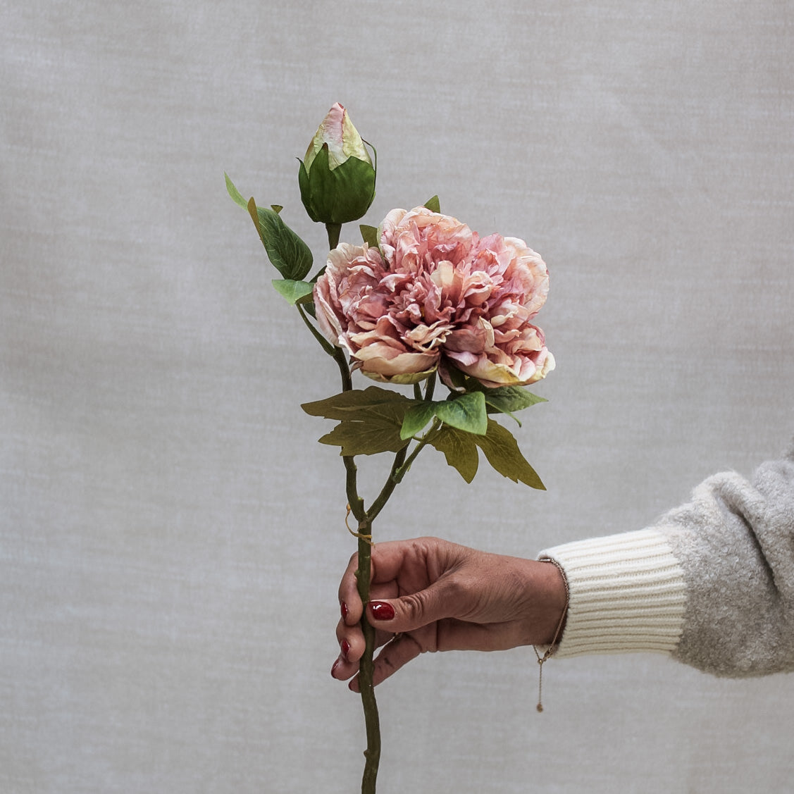 Dried Touch Blush Pink Peony Stem | Bundle of 3