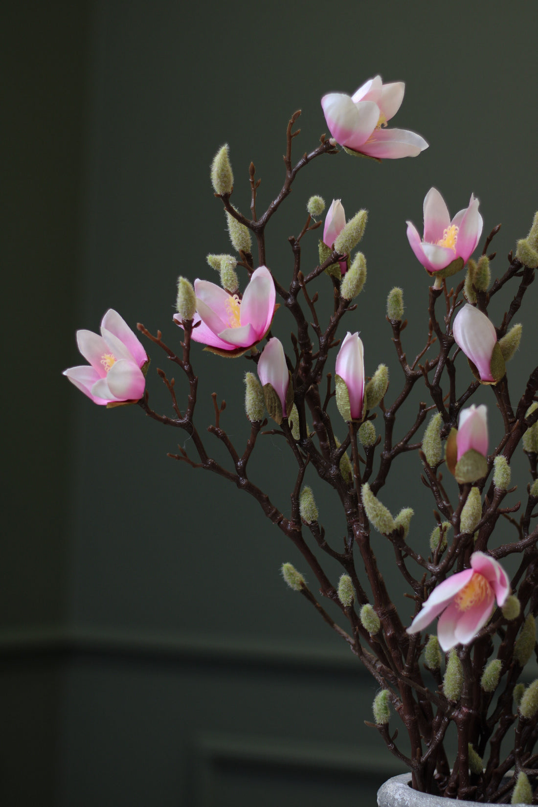 Pale Pink Magnolia Stem