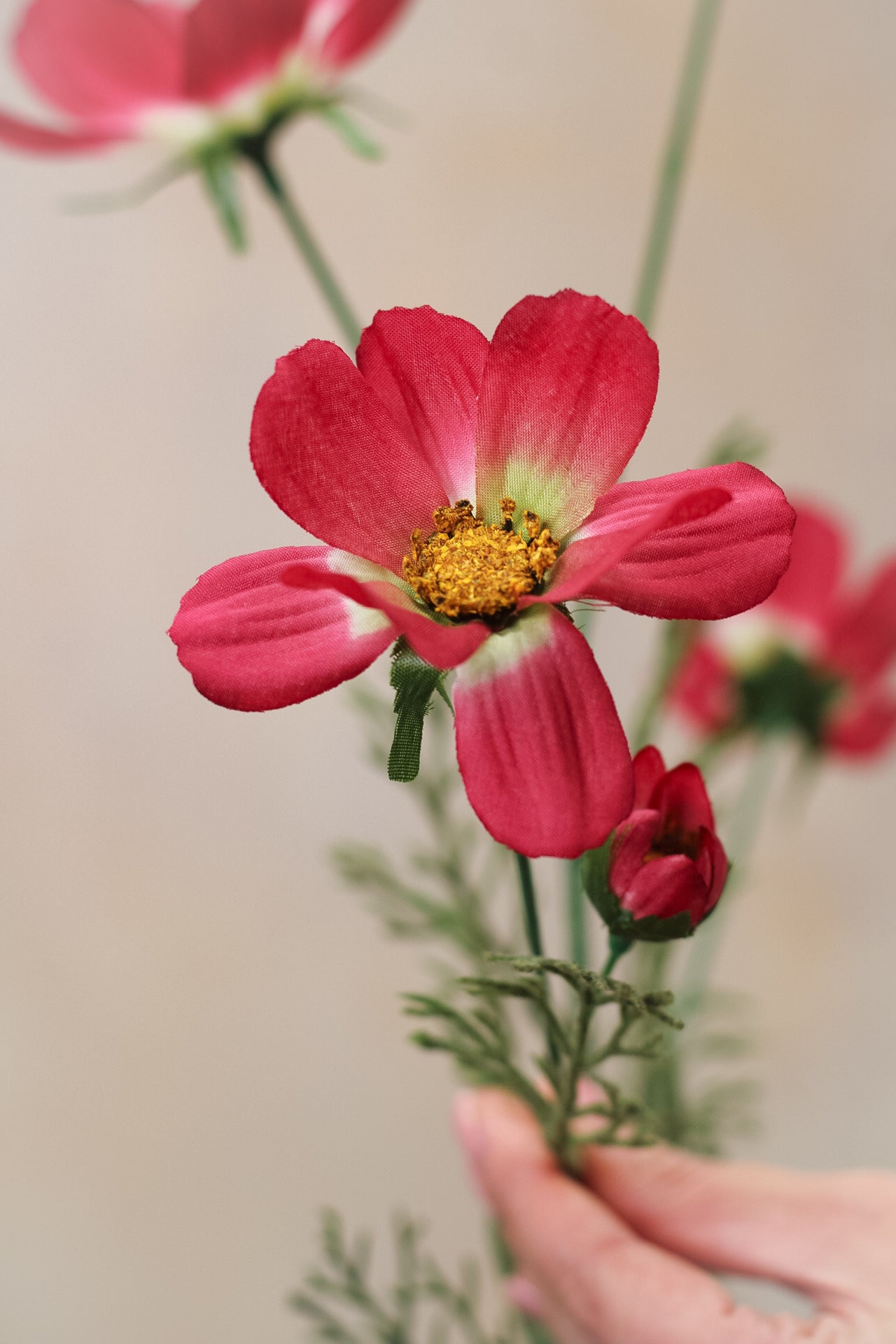 Faux Cerise Long Stemmed Cosmos Spray