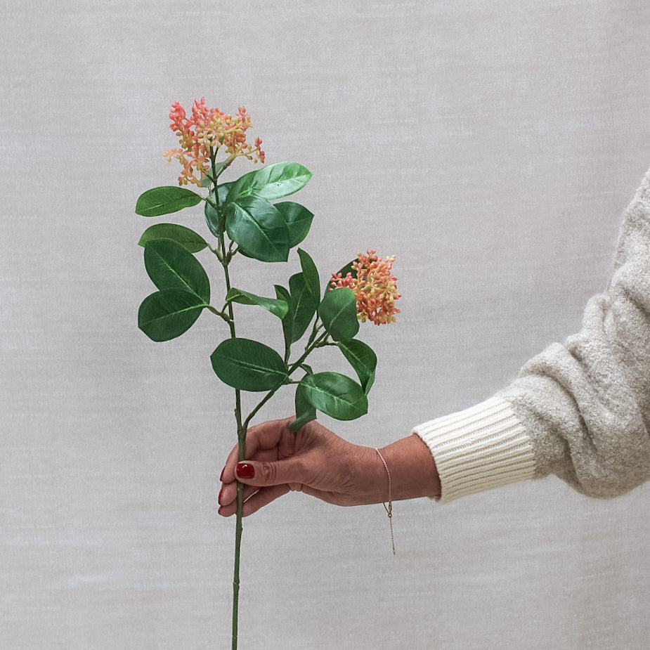 Pink Skimmia Stem