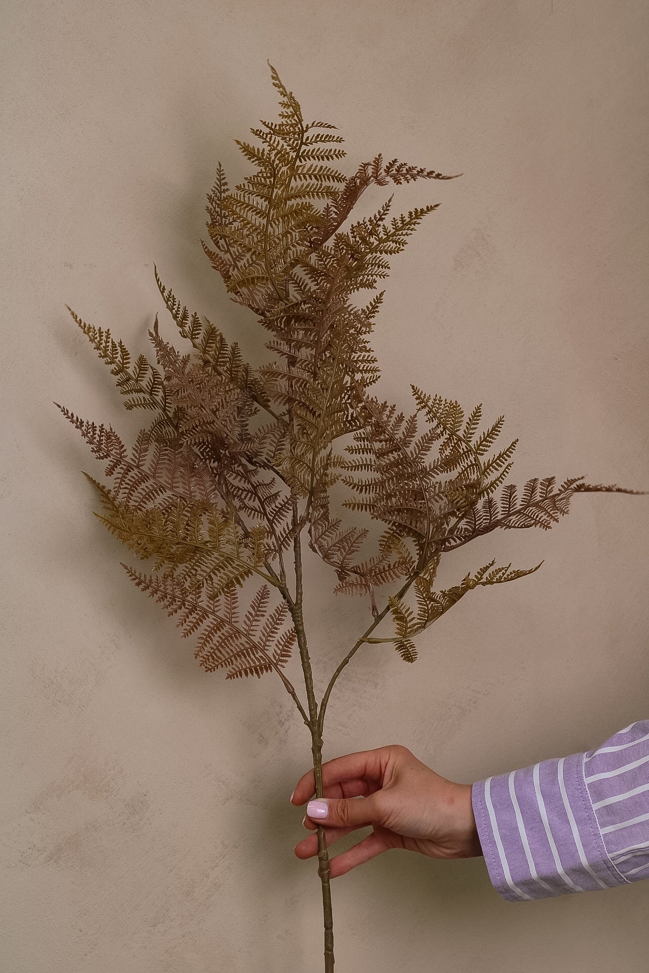 Hand holding a branch of faux dried fern leaves against a beige background
