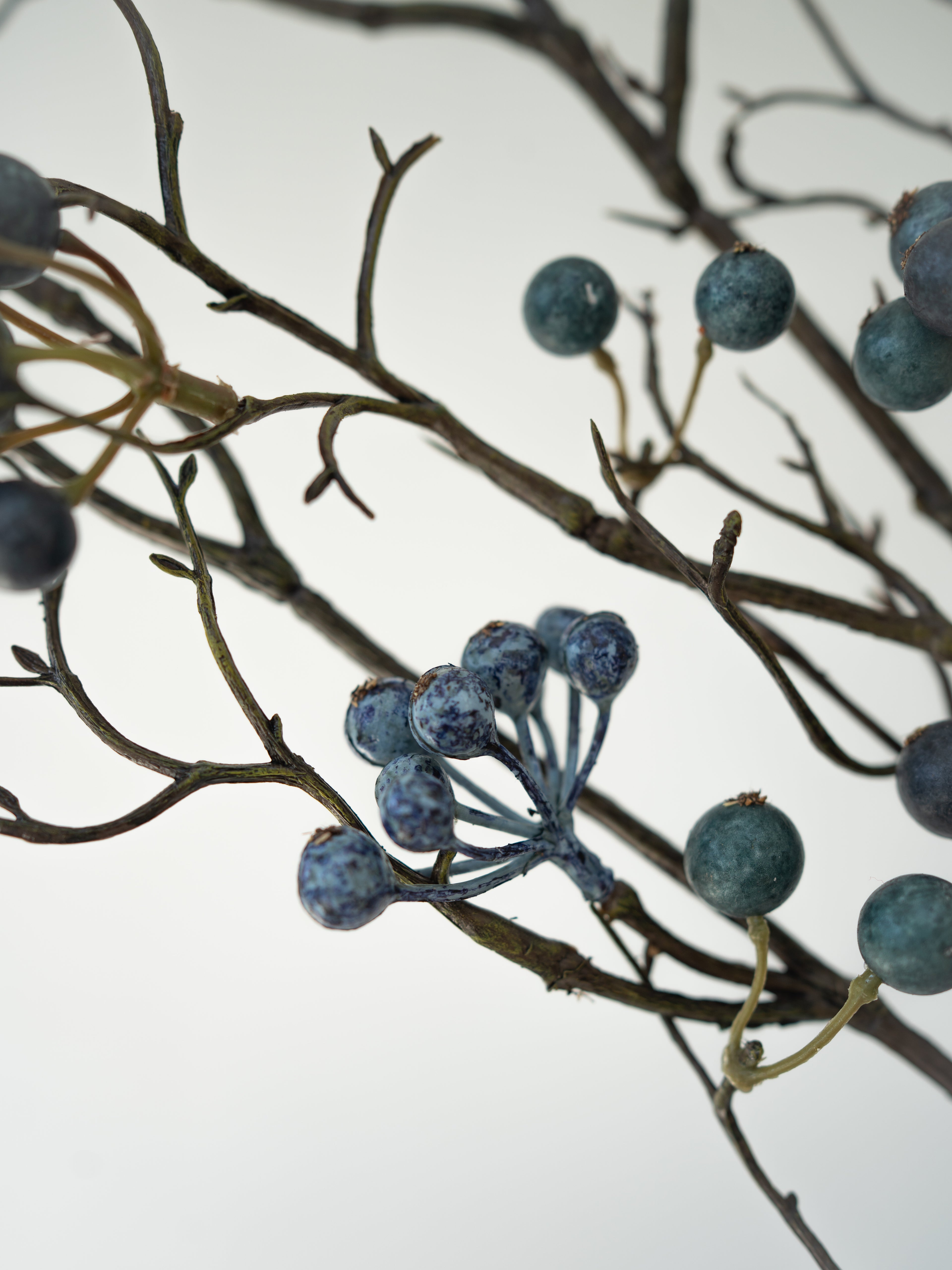 Artificial blueberry branches on a white background