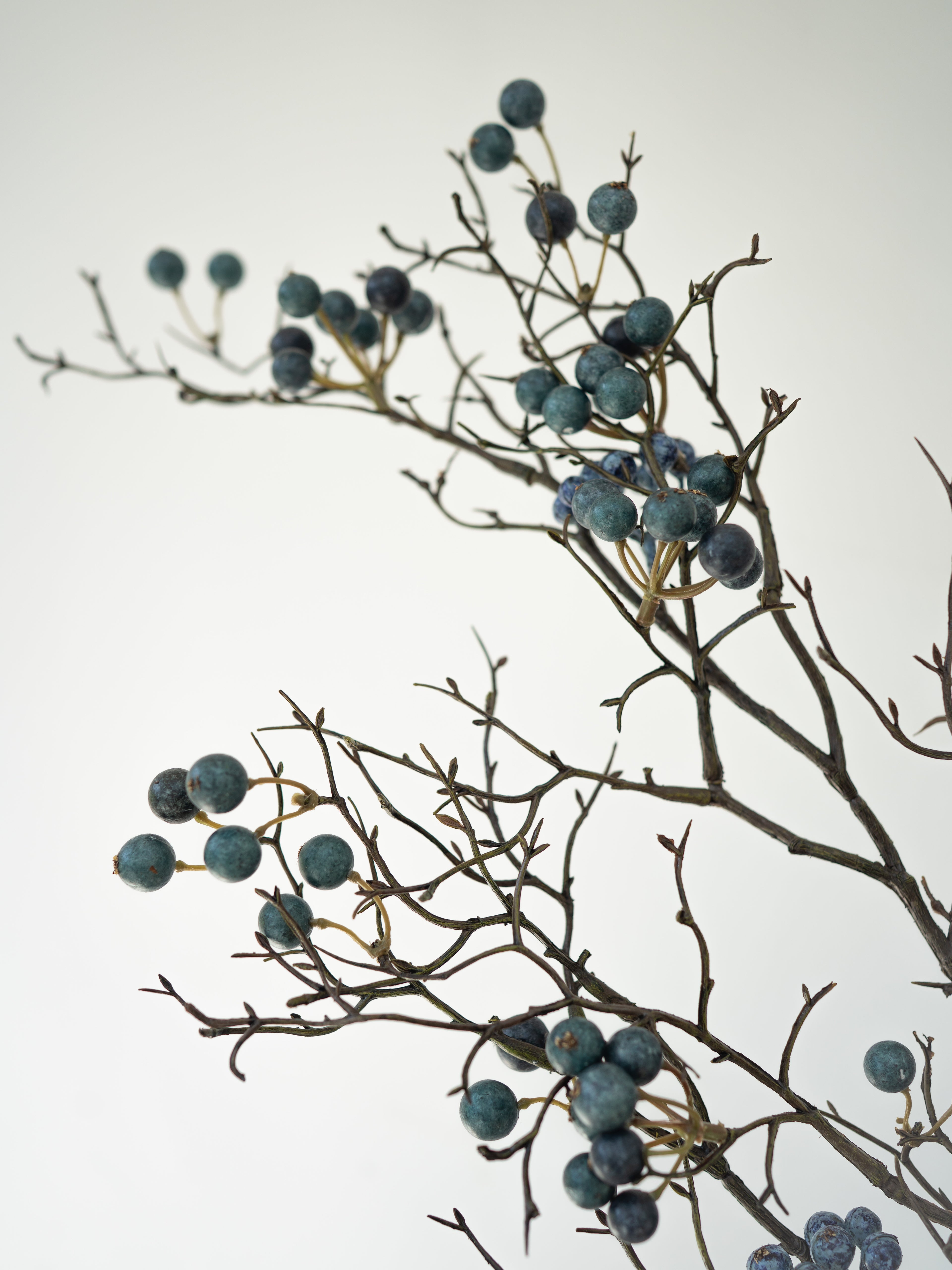Branches with faux blue berries on a light gray background