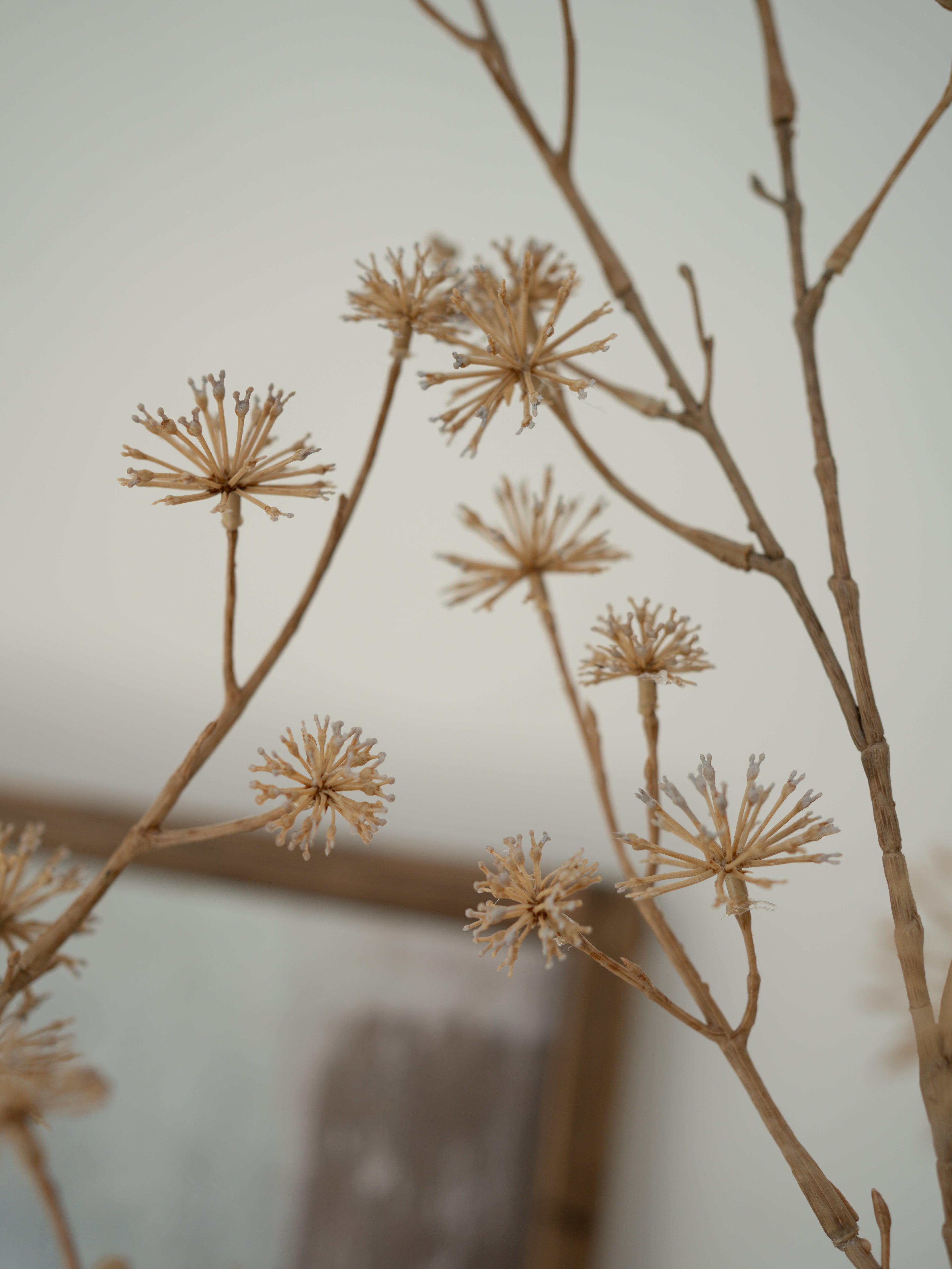 Faux brown dogwood branches with small beige flowers against a neutral background