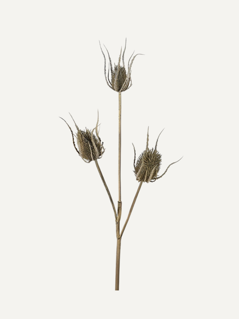 Faux Brown Teasel Bunch