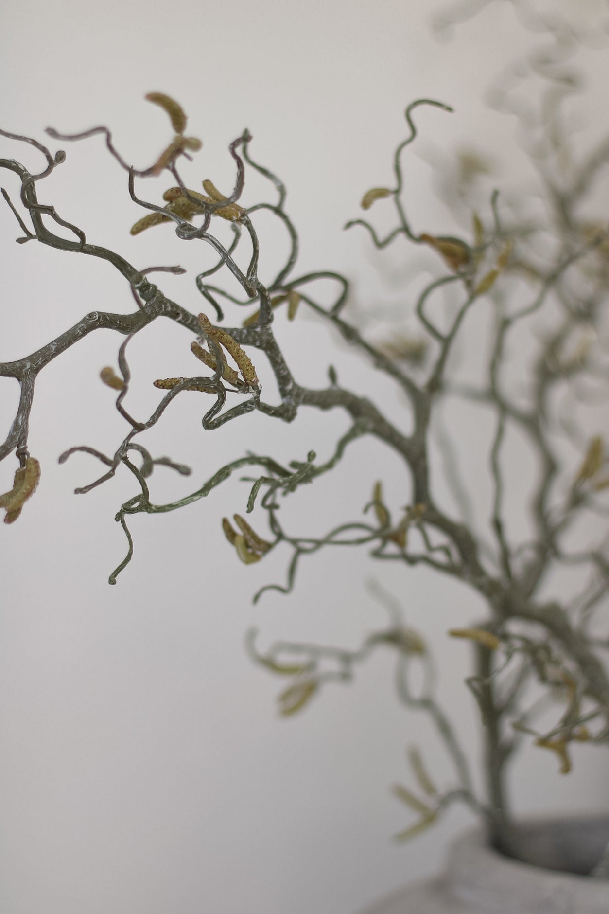 Artificial tree with bare branches and small yellow cones on a white background