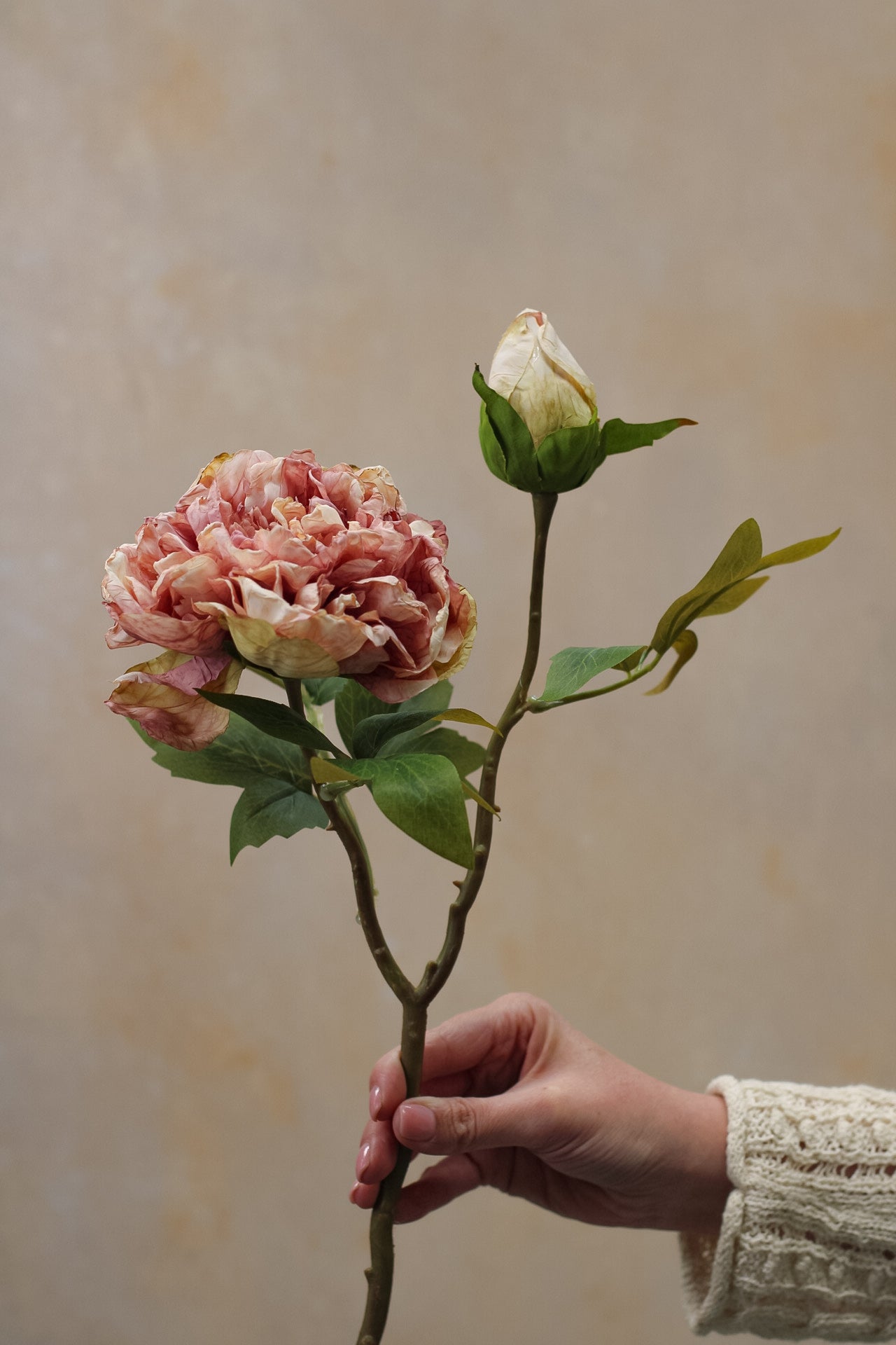 Faux Dried Blush Pink Peony Stem