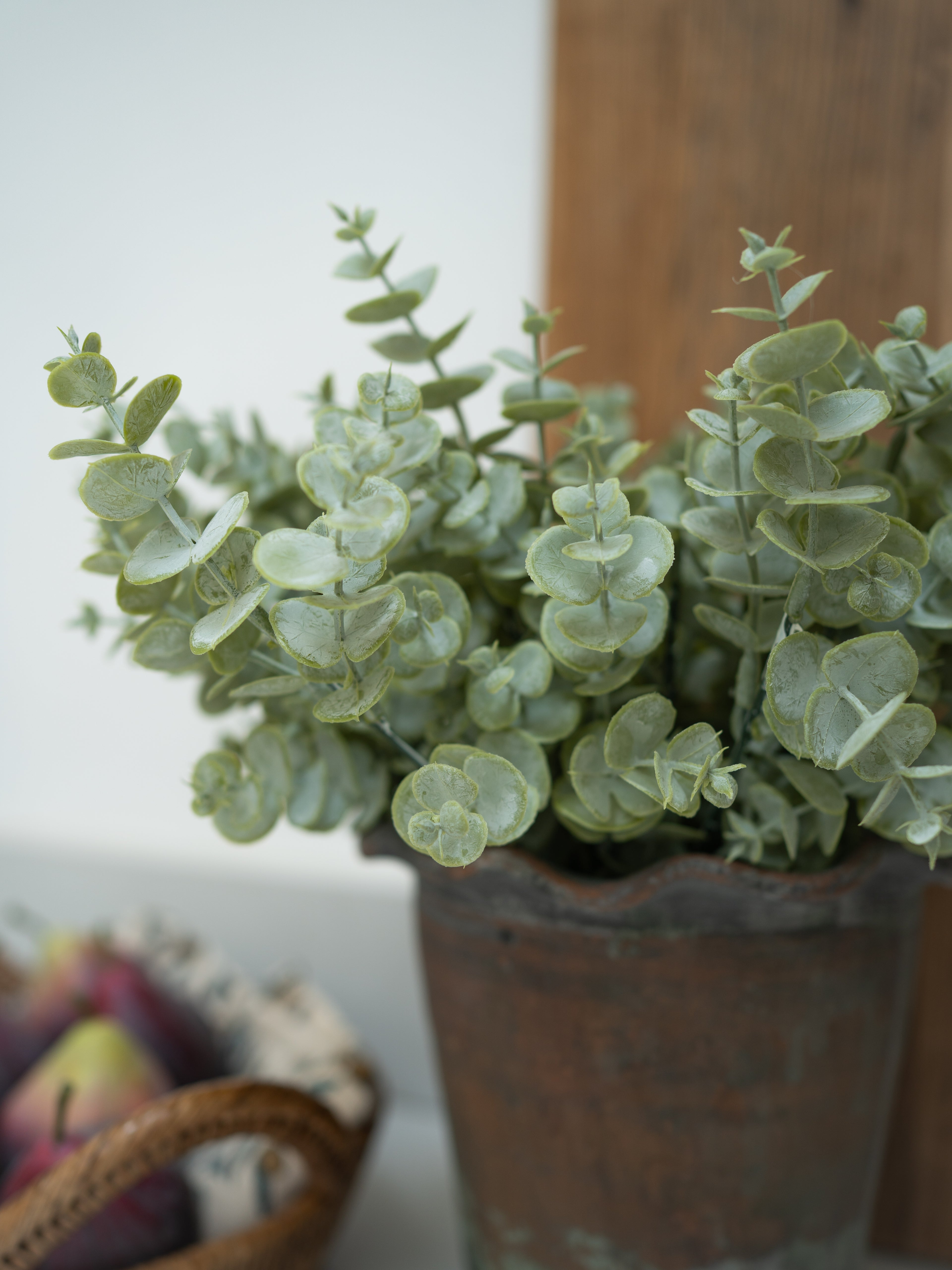 faux eucalyptus plant with a rustic pot on a surface with a blurred background