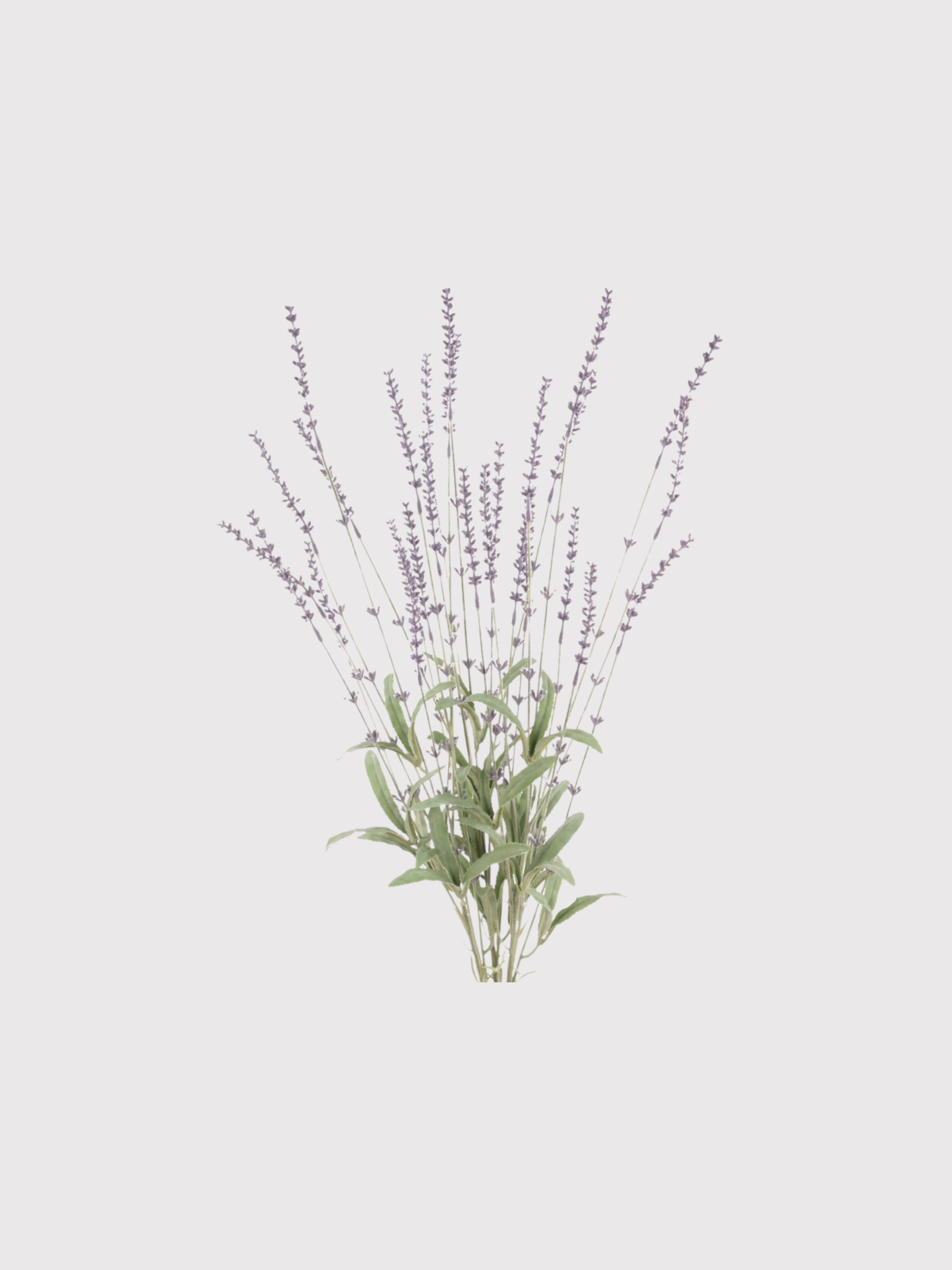 Artificial lavender plant on a light gray background