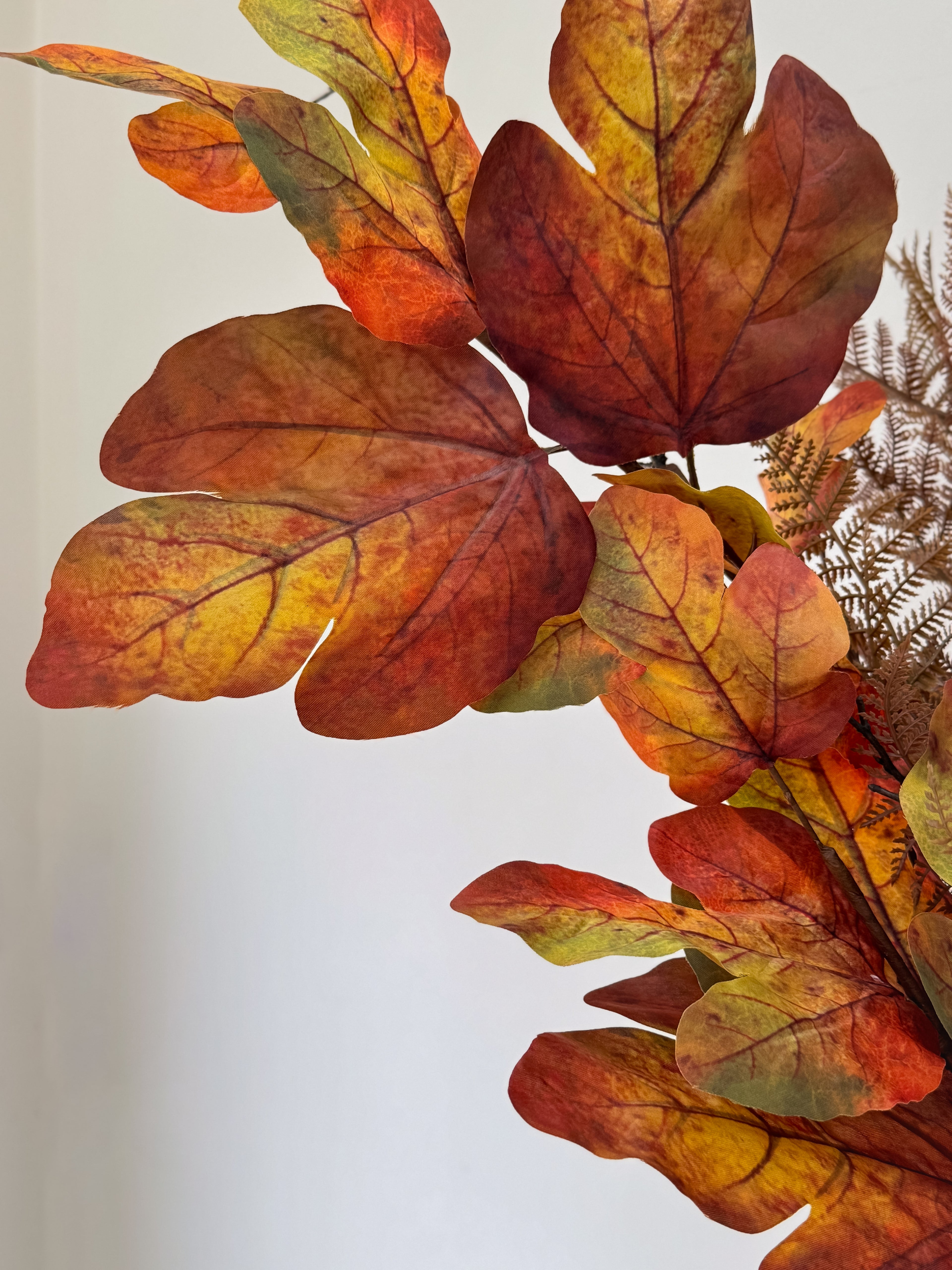 Autumn leaves with red, orange, and yellow colors on a light gray background