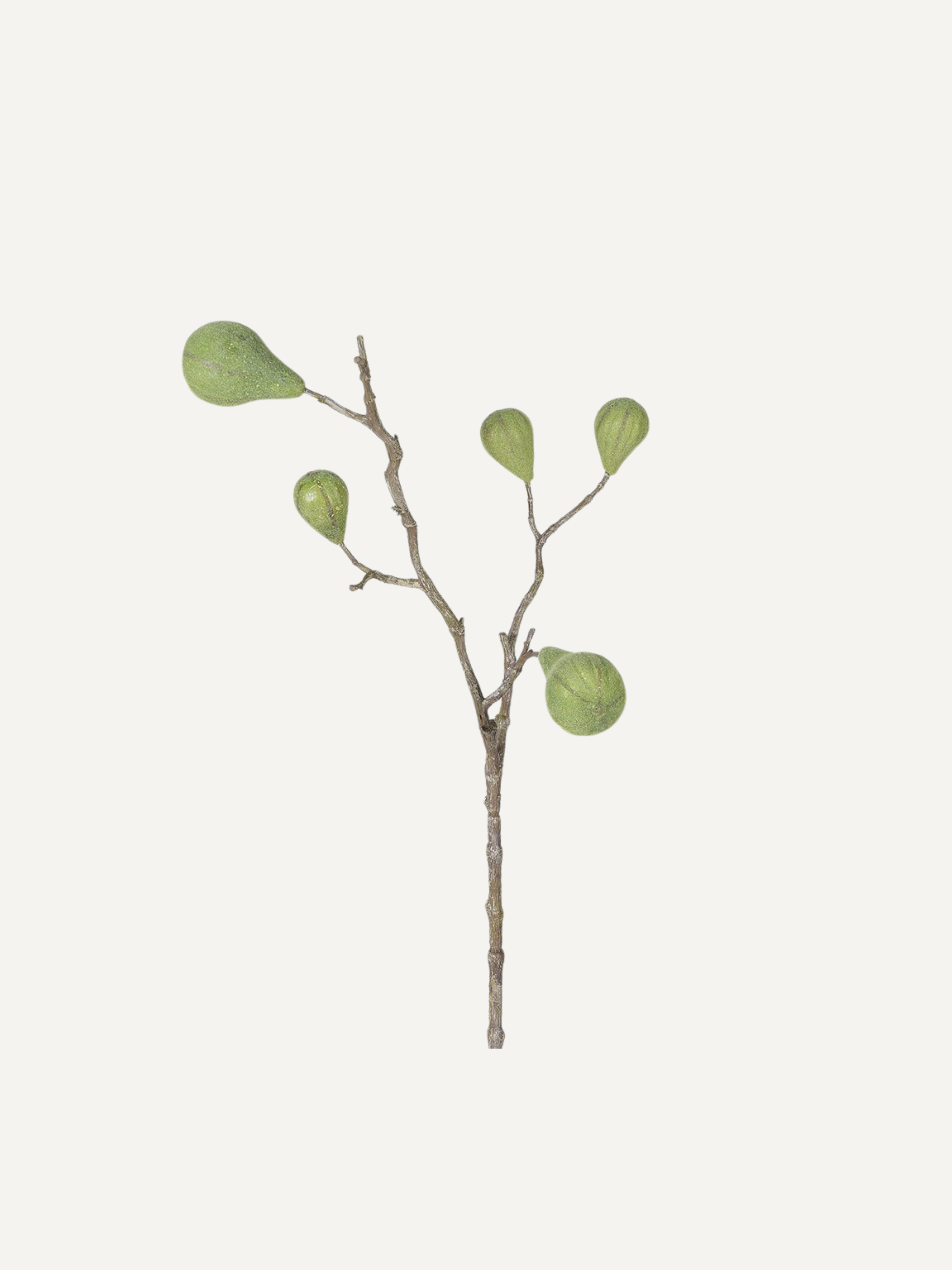 Artificial flocked faux fig fruit branch with green leaves on a white background