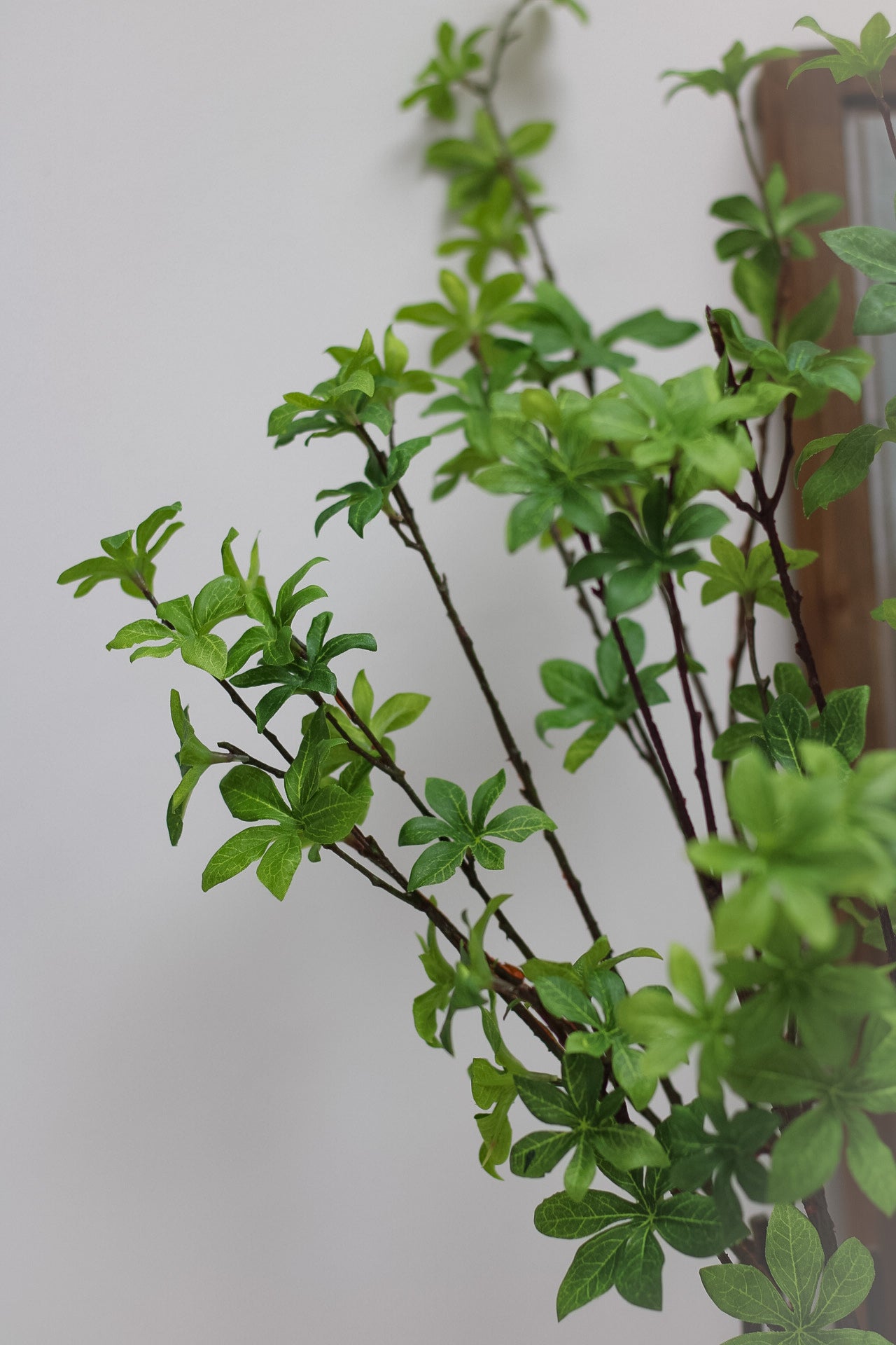Faux Green Enkianthus Spray with a plain background