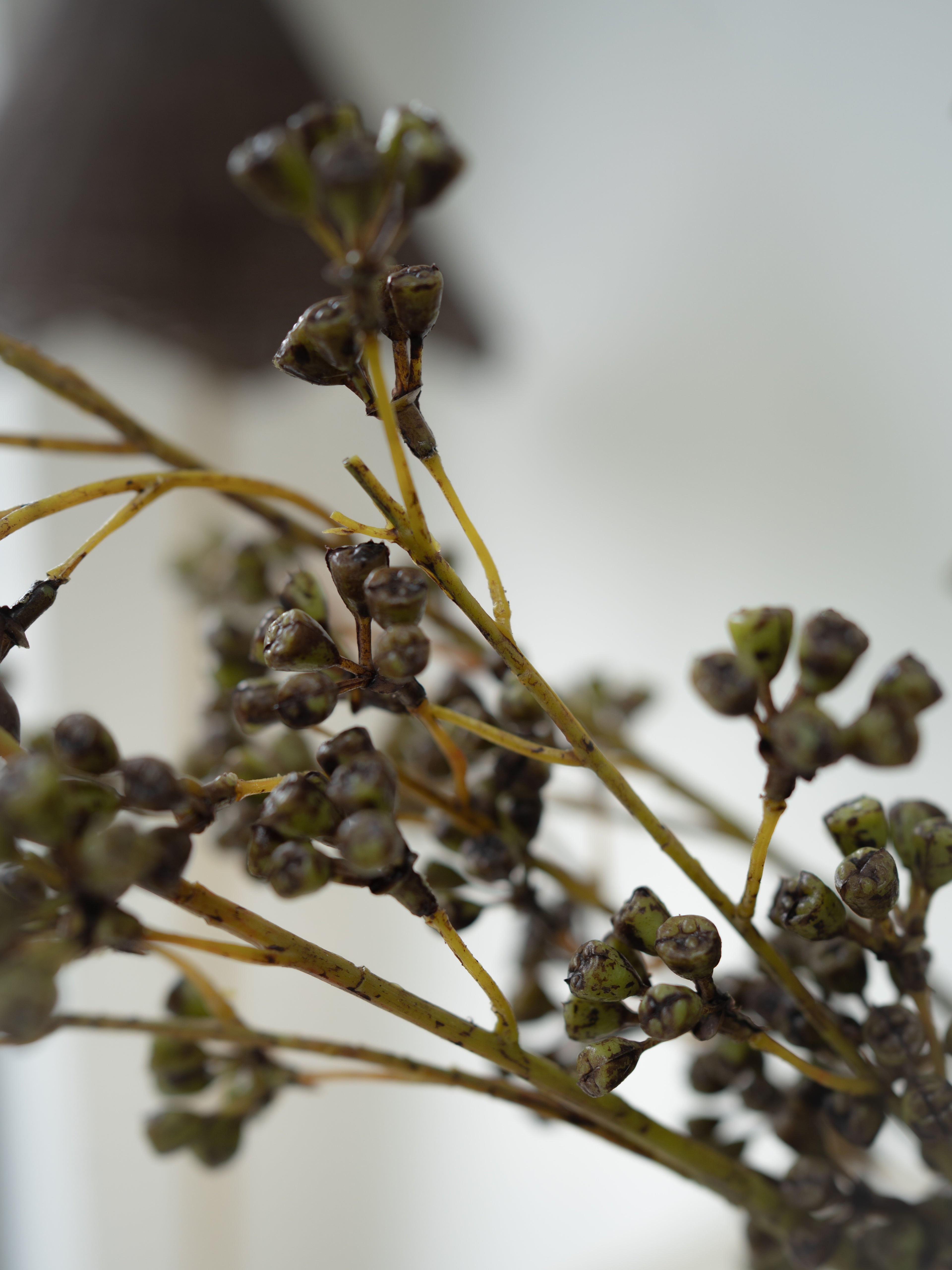 Upclose of faux green huckleberry clusters