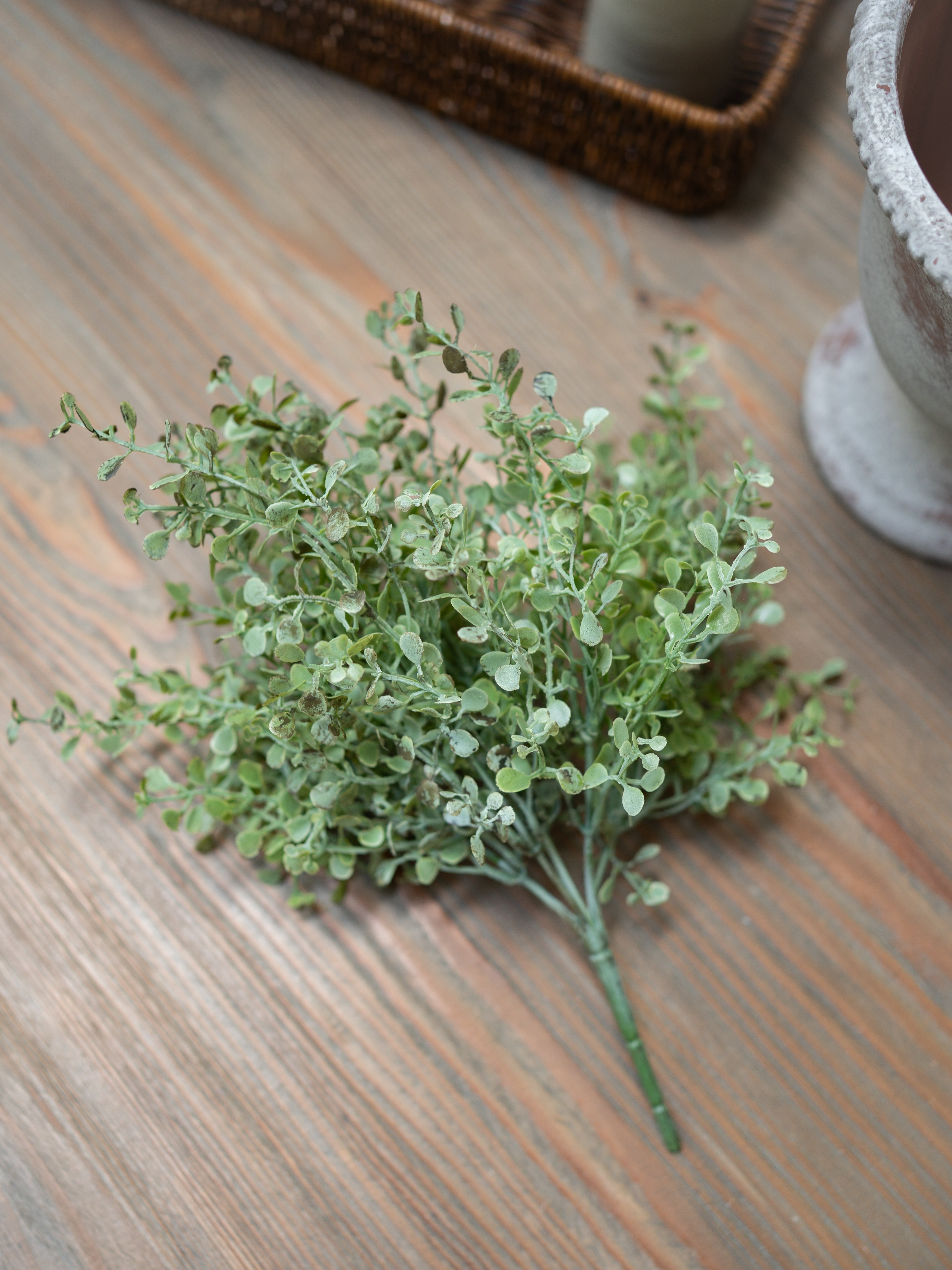 green gunnii artificial plant on a wooden surface