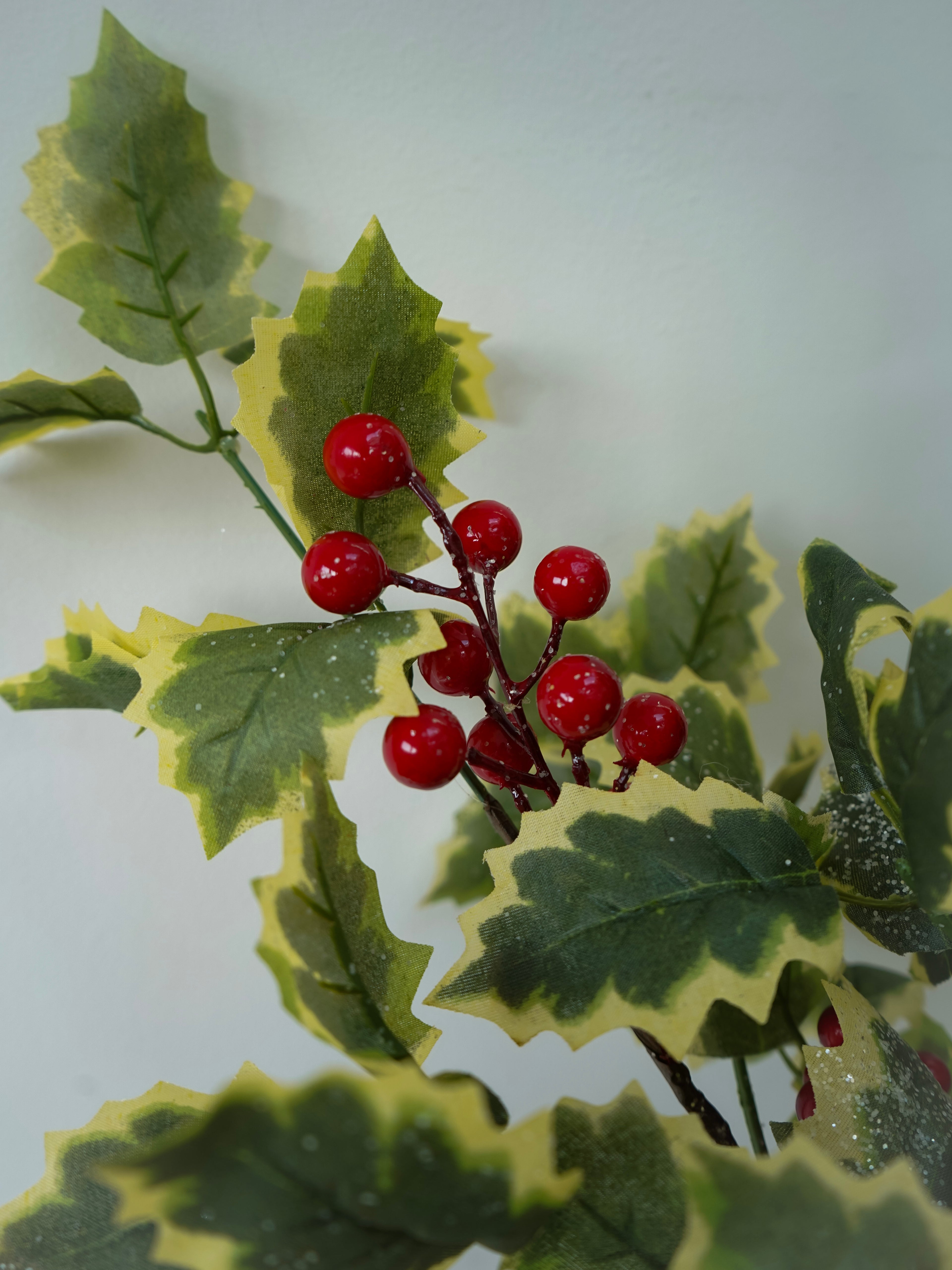 Artificial green leaf branch with red berries on a white background