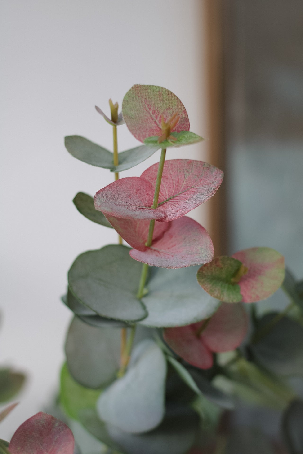 close up of faux blush eucalyptus hues stem