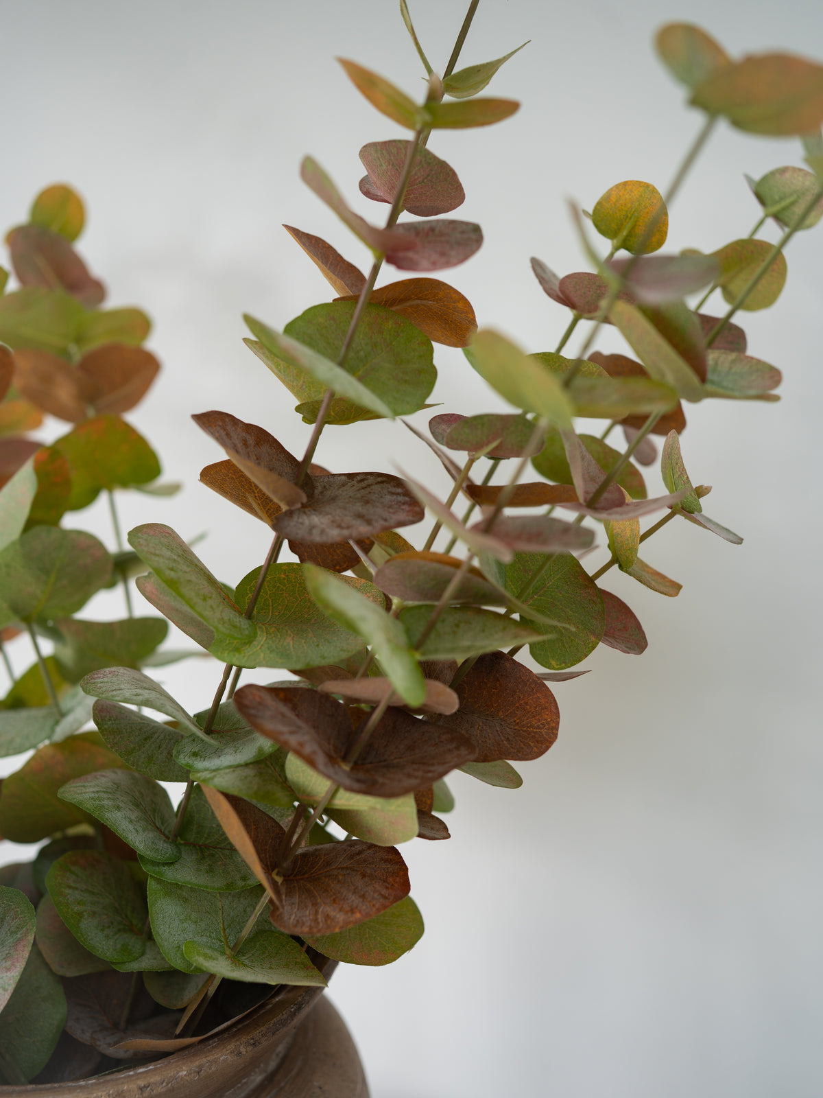 A close-up of a faux eucalyptus stems with round, dusty green to brown leaves, shown in a neutral studio setting against a light gray background.