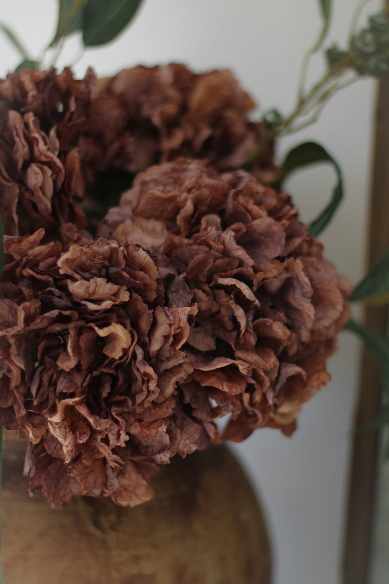 Faux Mocha Dried Ruffle Hydrangea