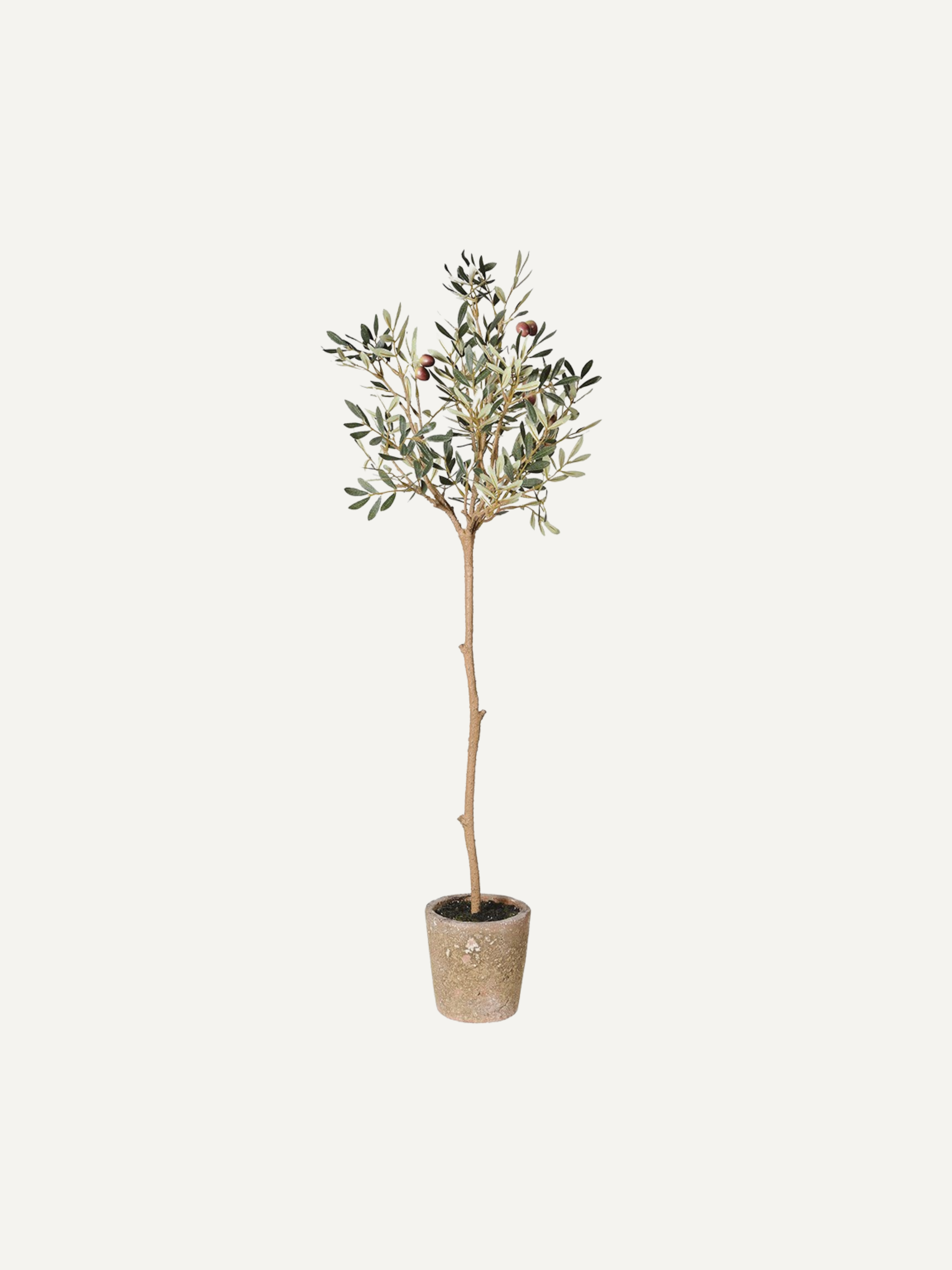 Faux Natural Olive Tree in Aged Pot
