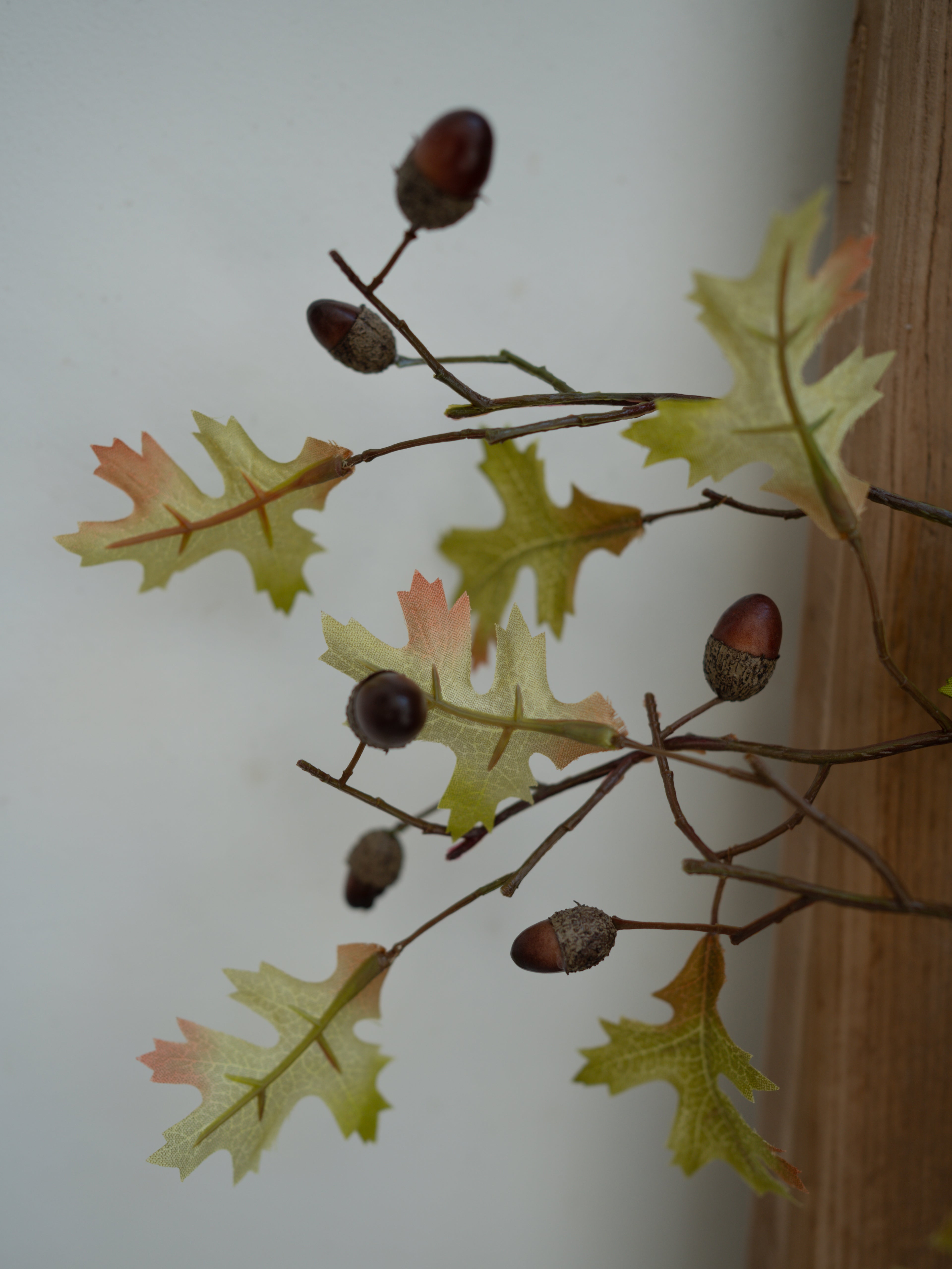 Artificial plant with green leaves and brown acorns against a neutral background